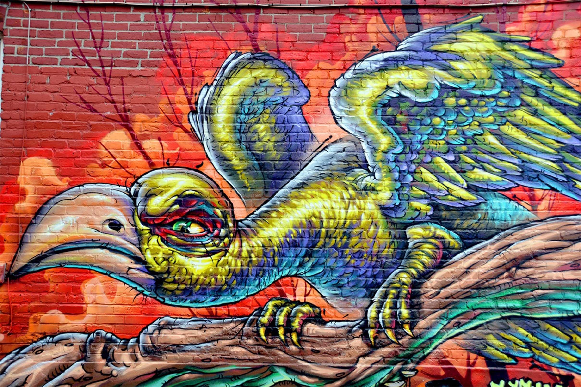 3D Graffiti Eagle 21 Garage Door Mural Wallpaper AJ Wallpaper 
