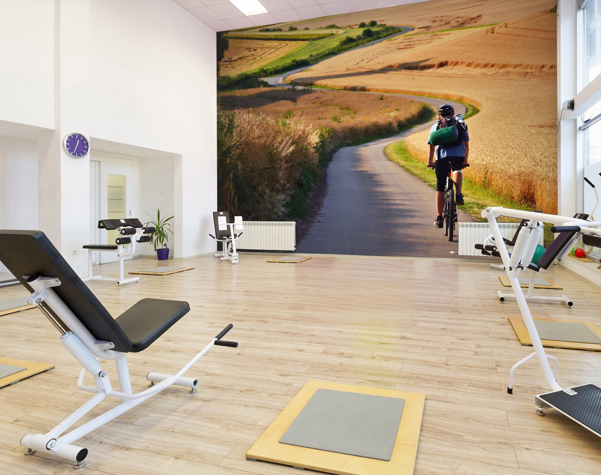 3D Ride A Bike 030 Wall Murals Wallpaper AJ Wallpaper 2 