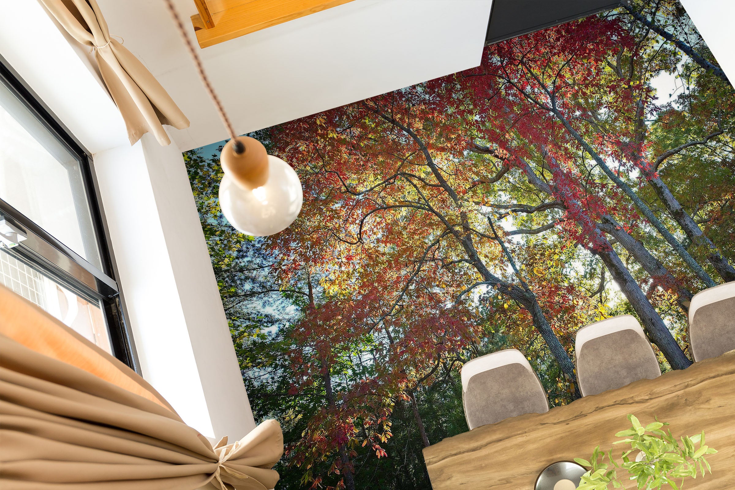 3D Forest 98189 Kathy Barefield Floor Mural  Wallpaper Murals Self-Adhesive Removable Print Epoxy