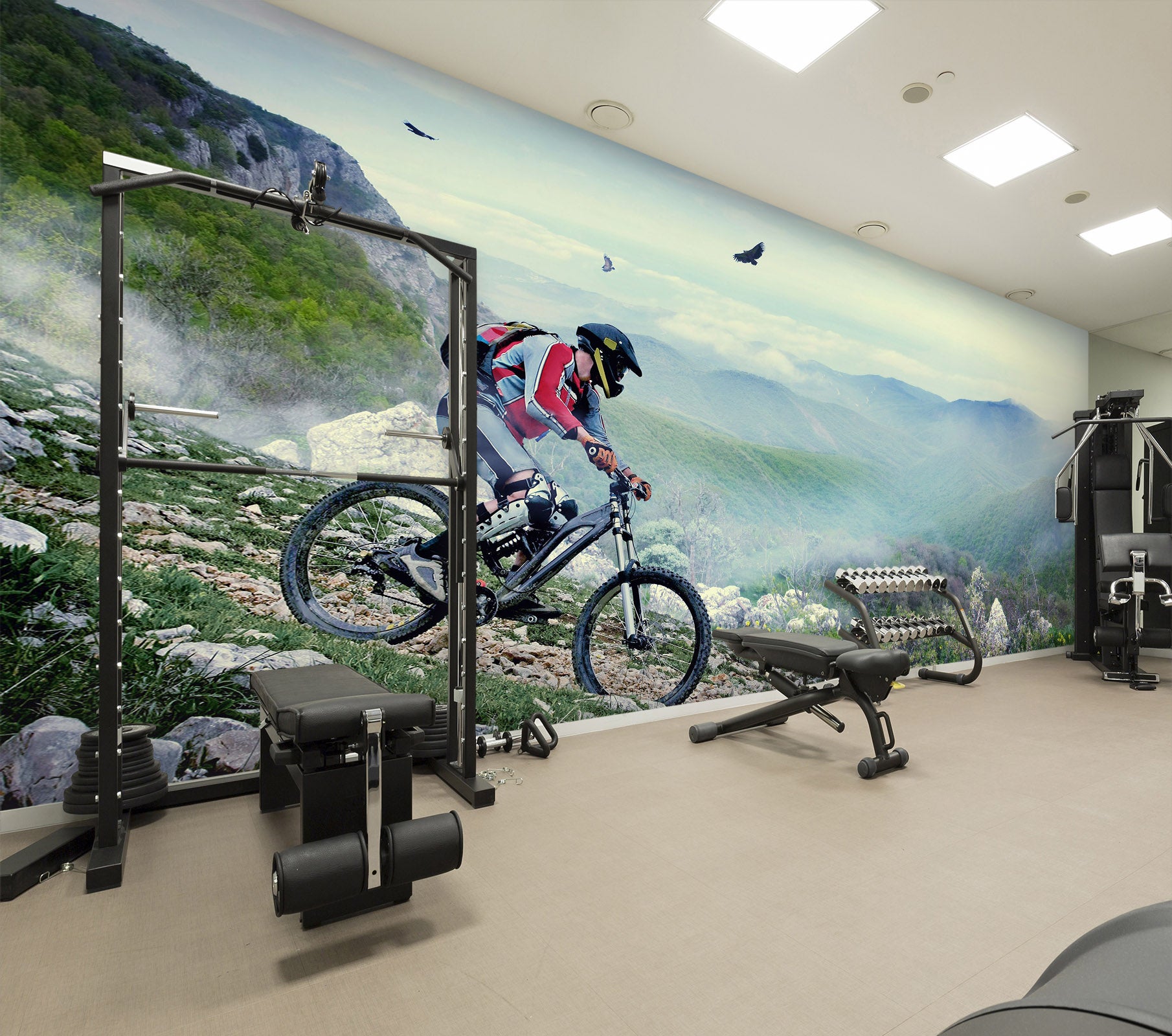 3D Mountain Biking 225 Wall Murals
