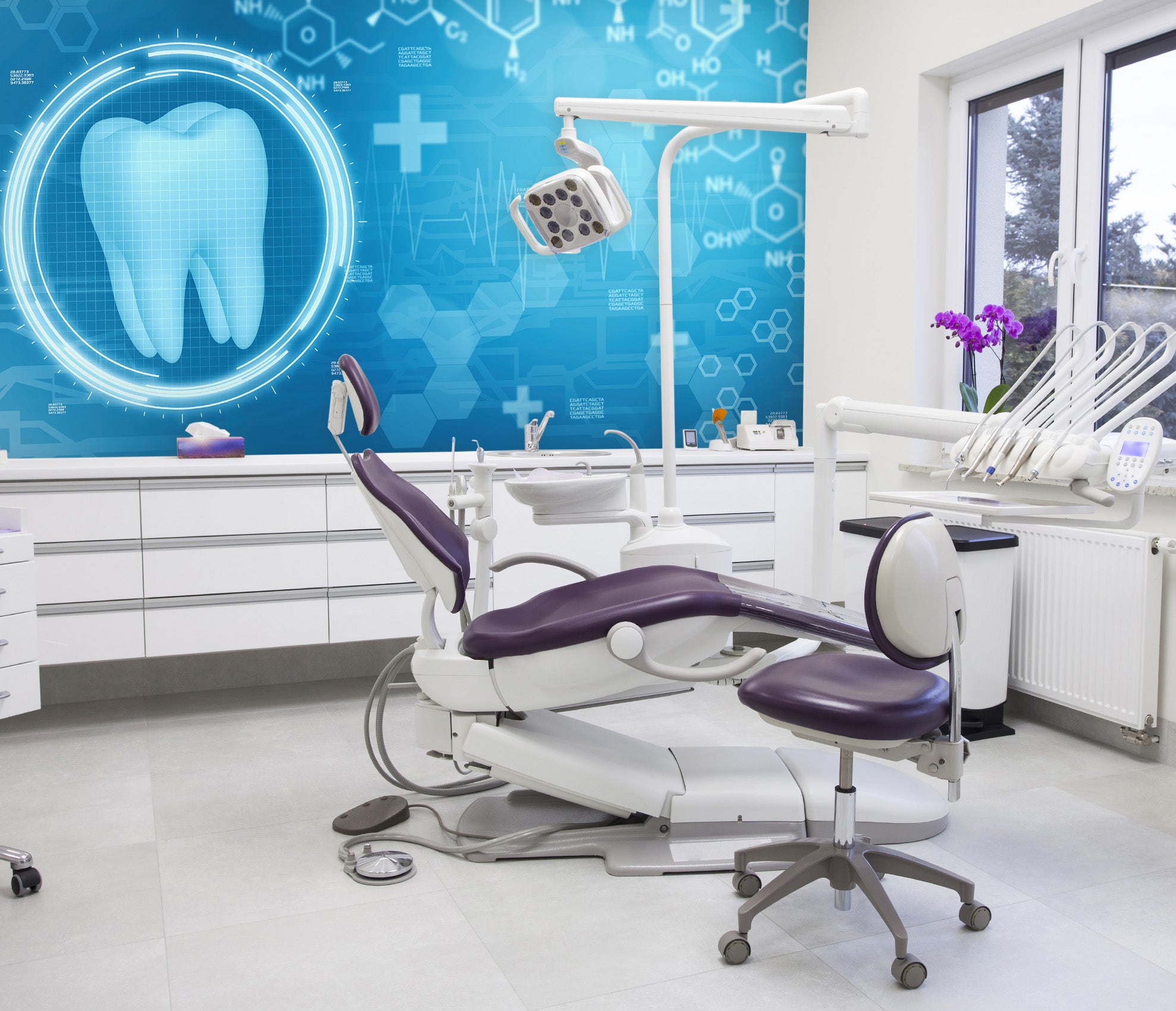 3D Dental Examination 331 Wall Murals