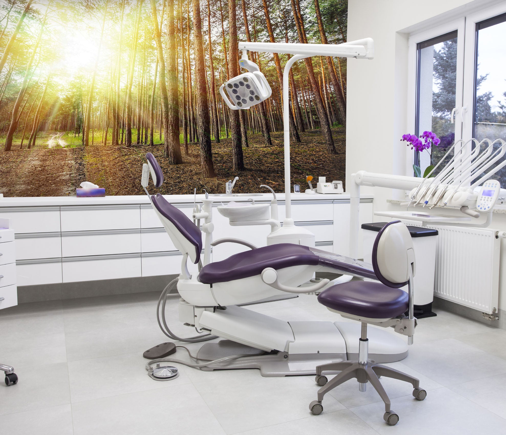 3D Forest Sunshine 299 Wall Murals