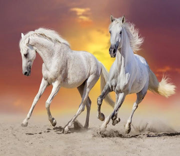 3D Sunset Glow Galloping Horses 77 Wallpaper AJ Wallpaper 