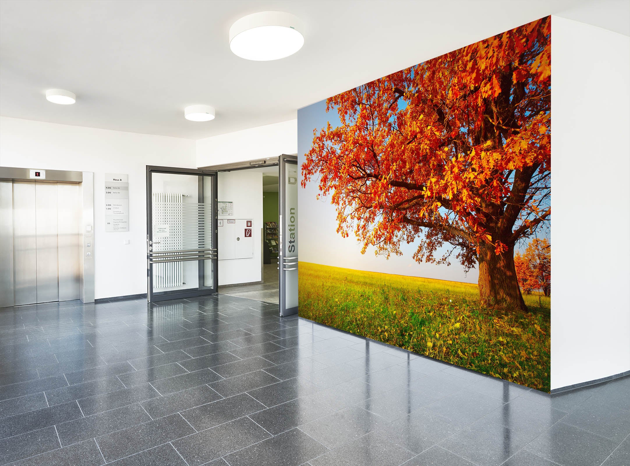 3D Autumn Landscape 185 Wall Murals