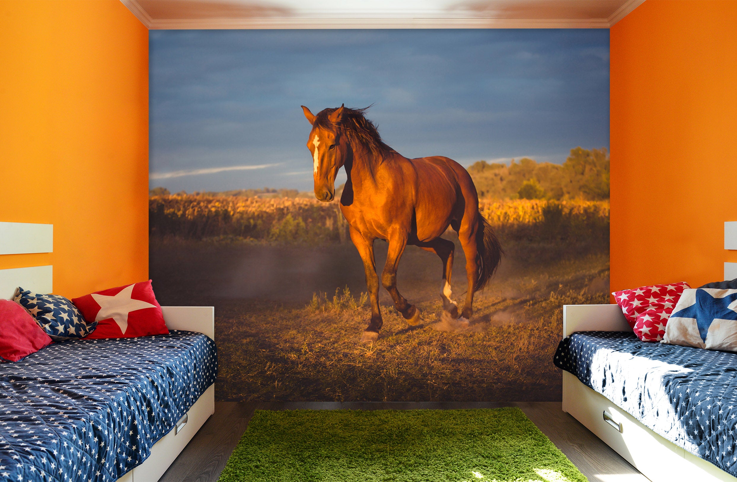 3D Prairie Horse 109 Wall Murals