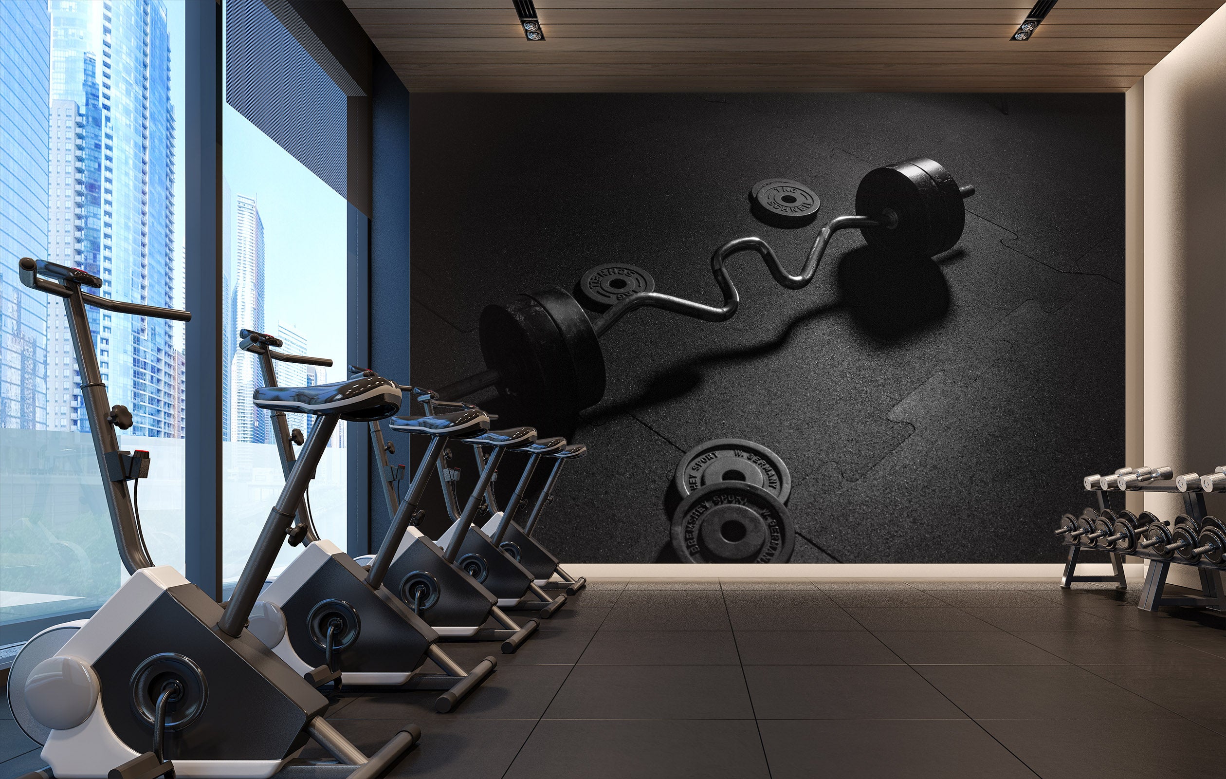 3D Fitness Equipment 205 Wall Murals