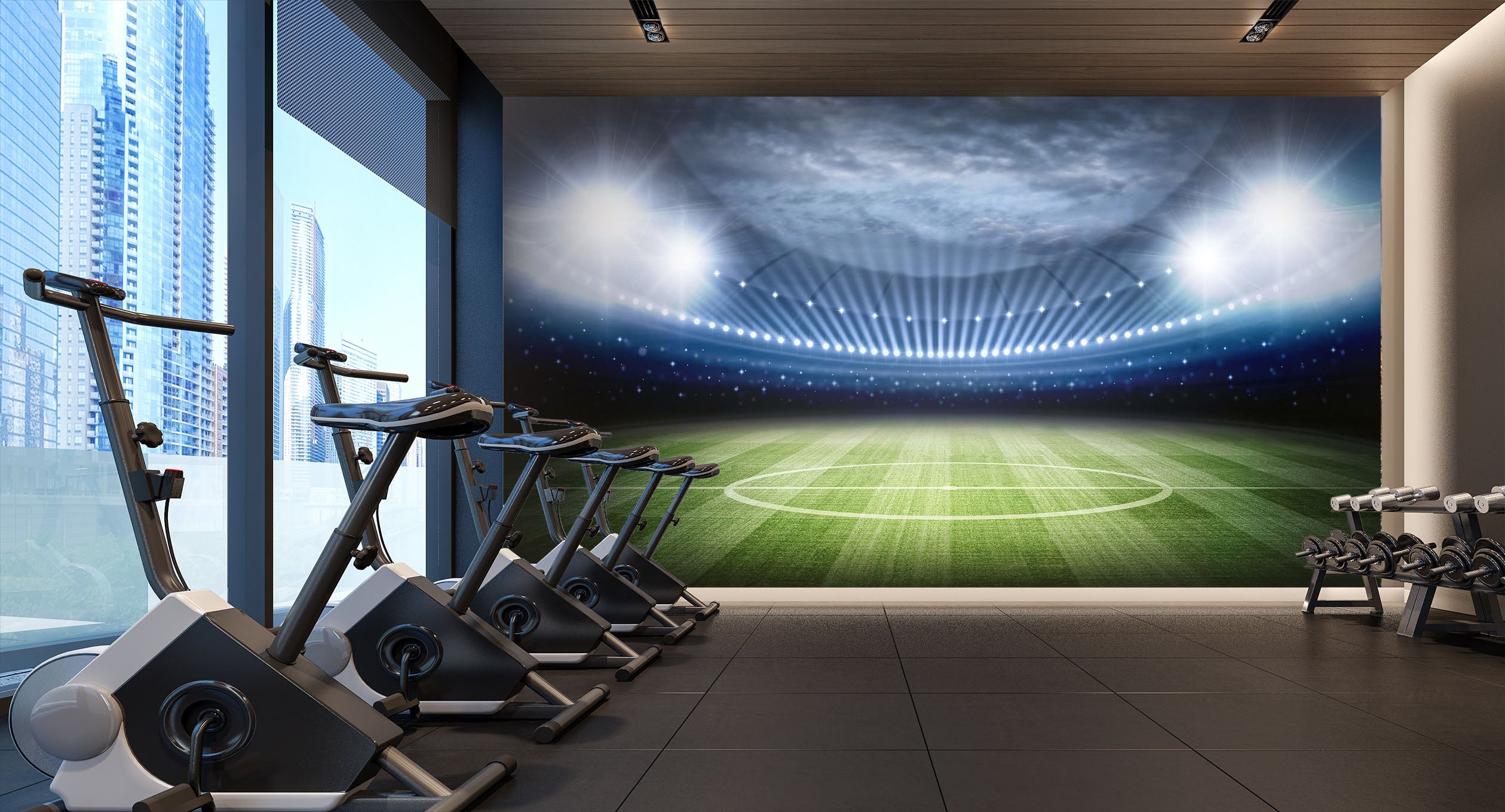 3D Football Field 101 Wall Murals