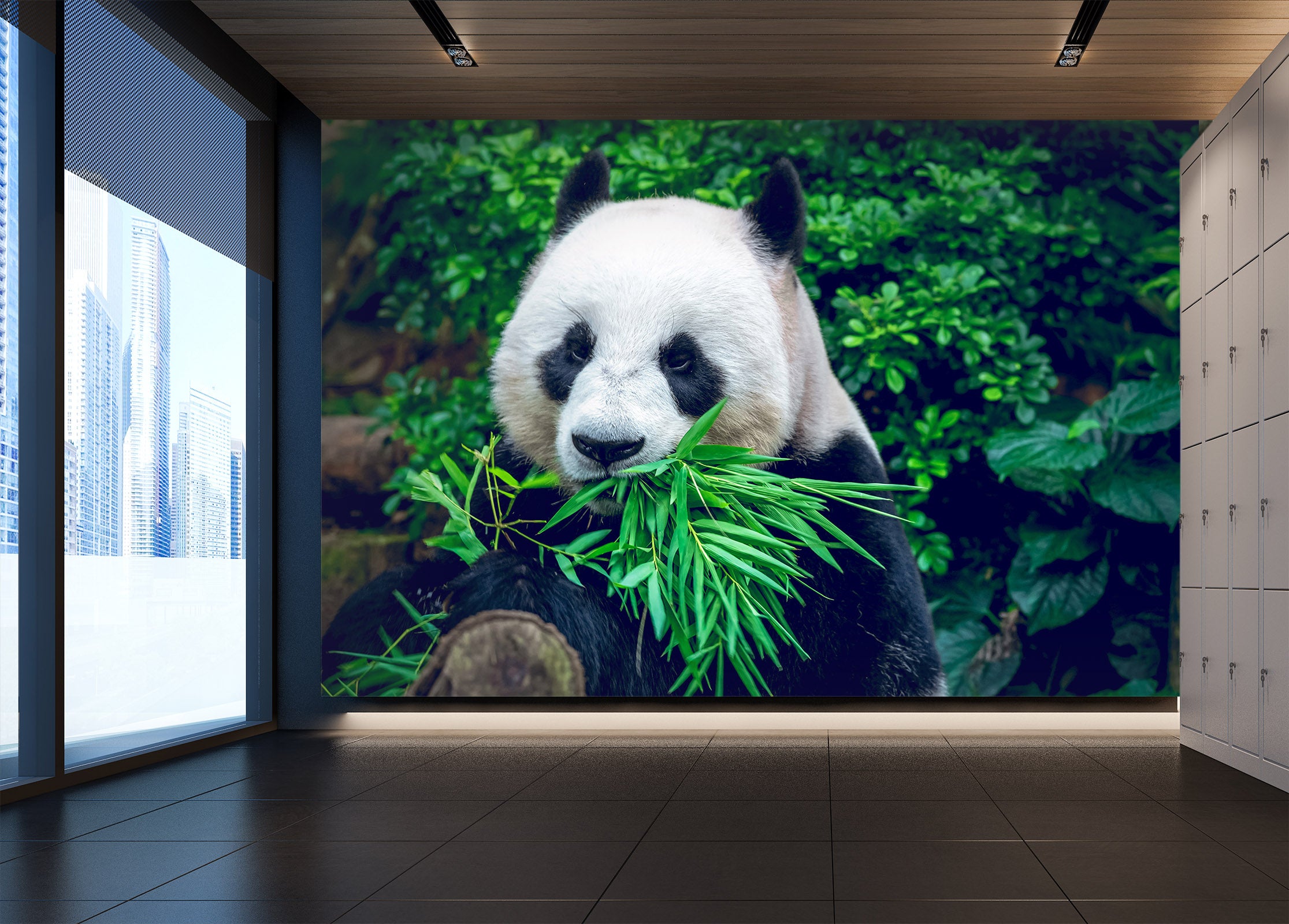 3D Panda Bamboo 57103 Wall Murals