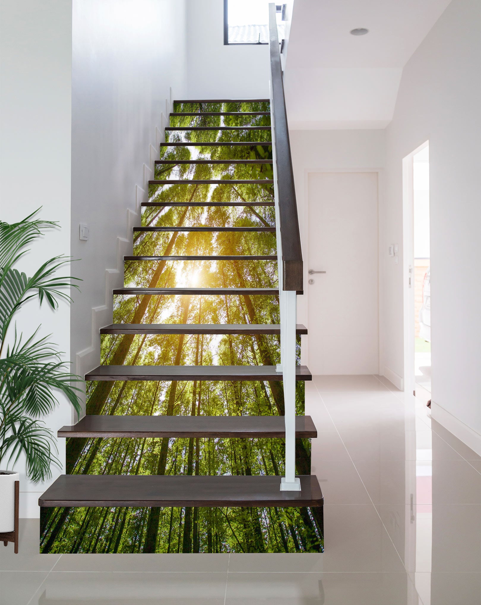 3D Sunlight Between Trees 229 Stair Risers