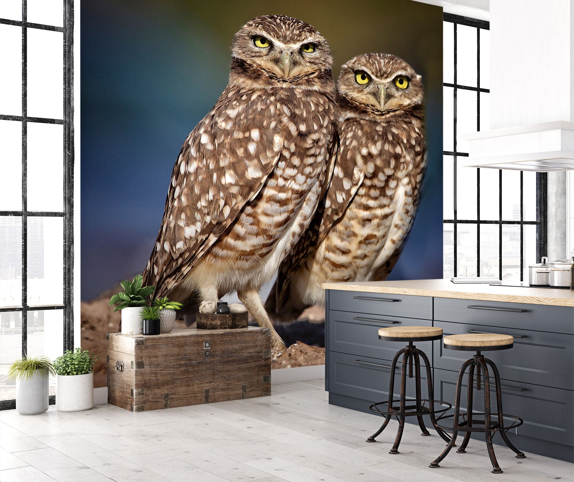 3D Burrowing Owl Buddies 105 Kathy Barefield Wall Mural Wall Murals