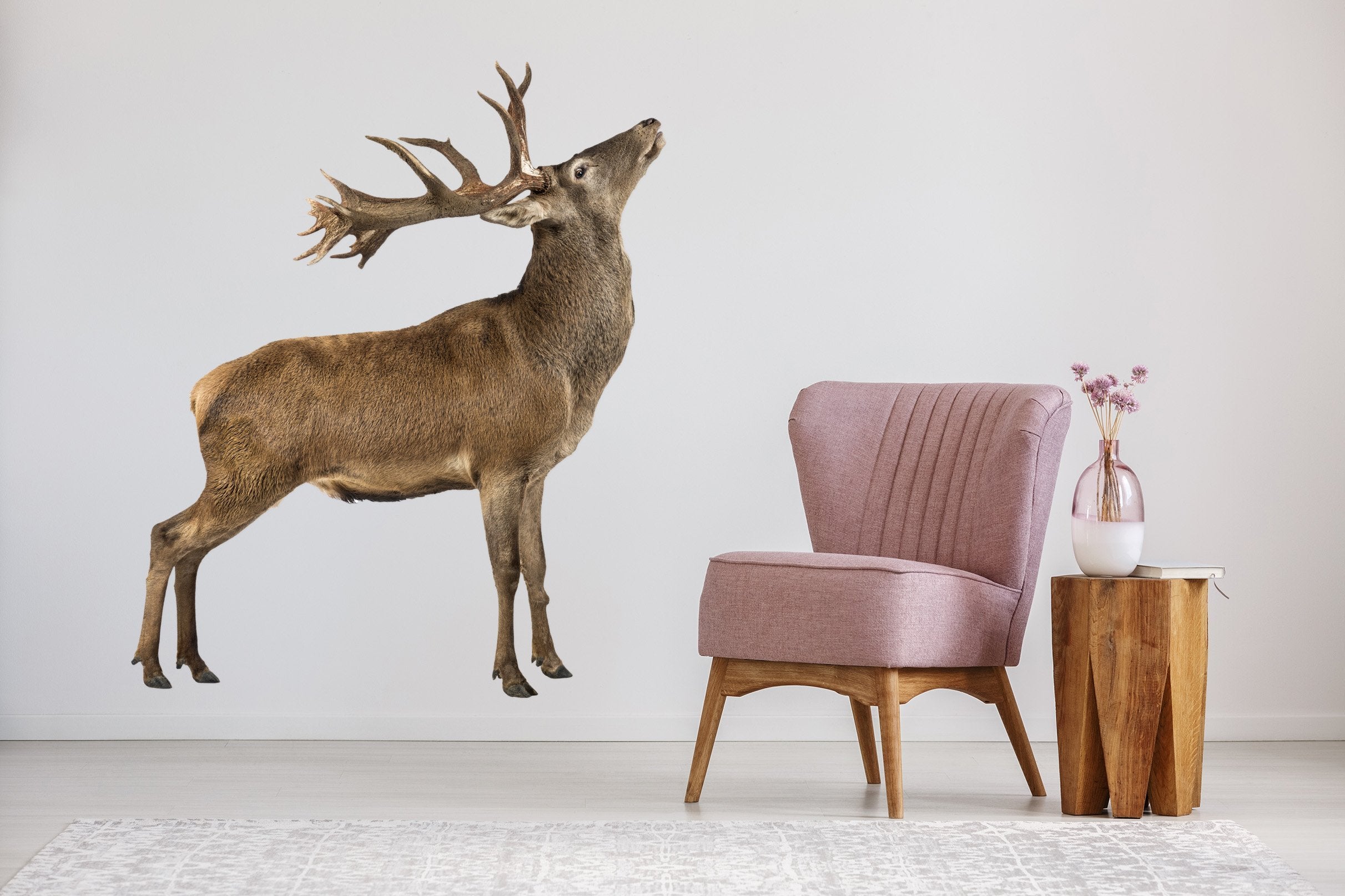 3D Elk Looking Up 116 Animals Wall Stickers Wallpaper AJ Wallpaper 