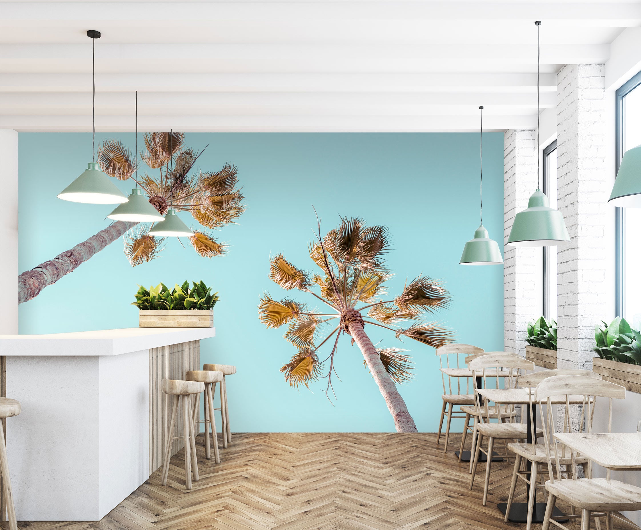3D Sky Coconut Tree 6250 Assaf Frank Wall Mural Wall Murals