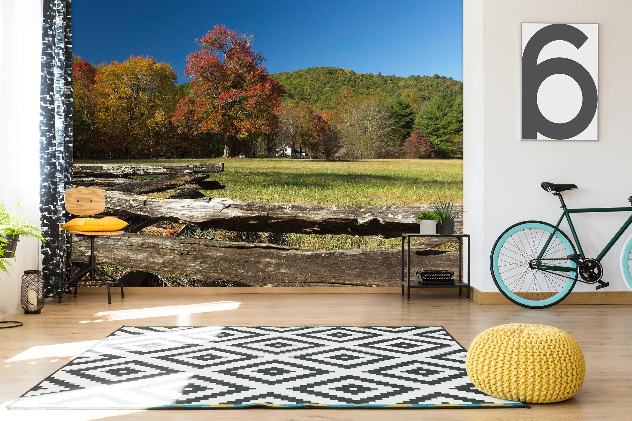 3D Moriyama Lake 124 Kathy Barefield Wall Mural Wall Murals