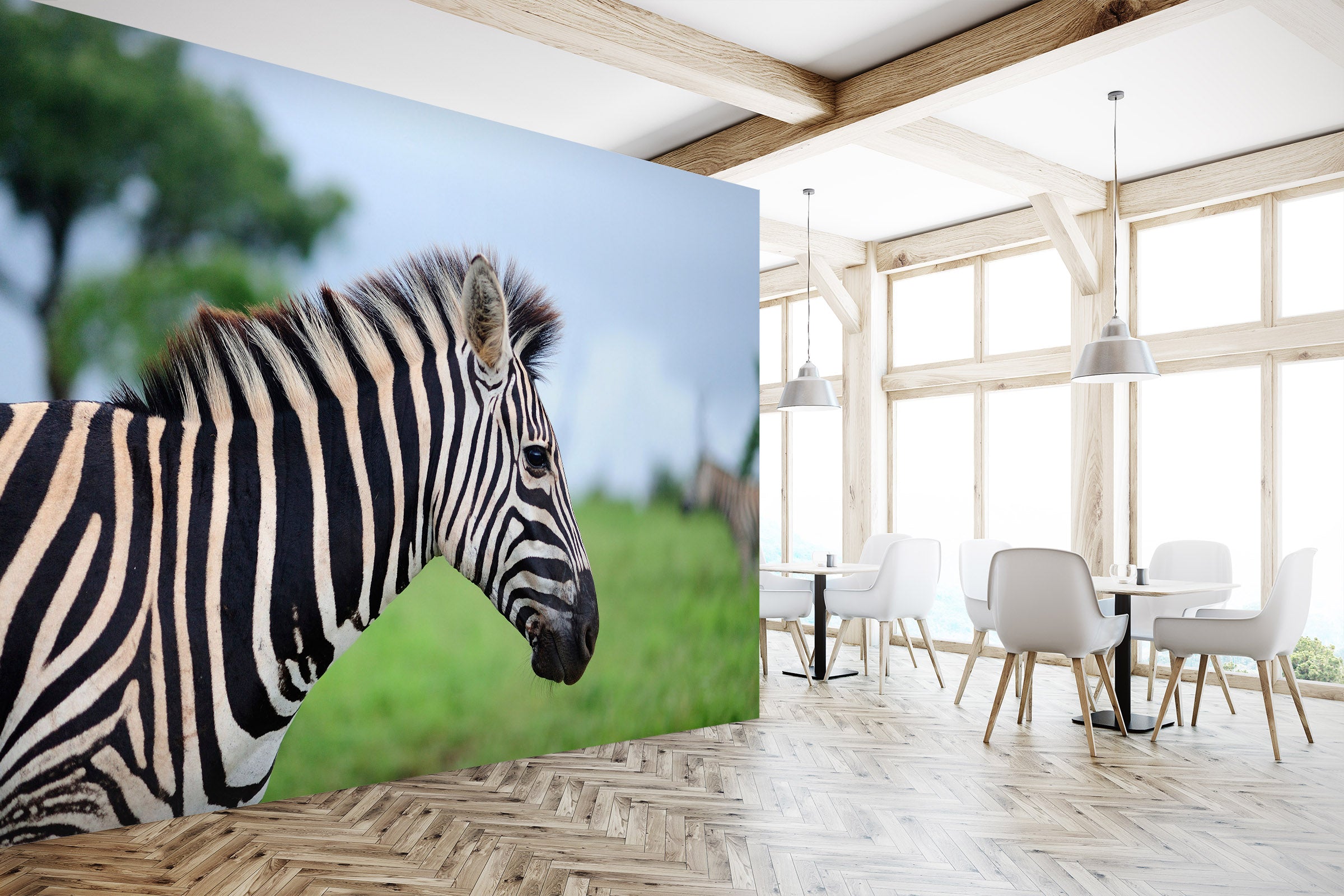 3D Zebra 57117 Wall Murals