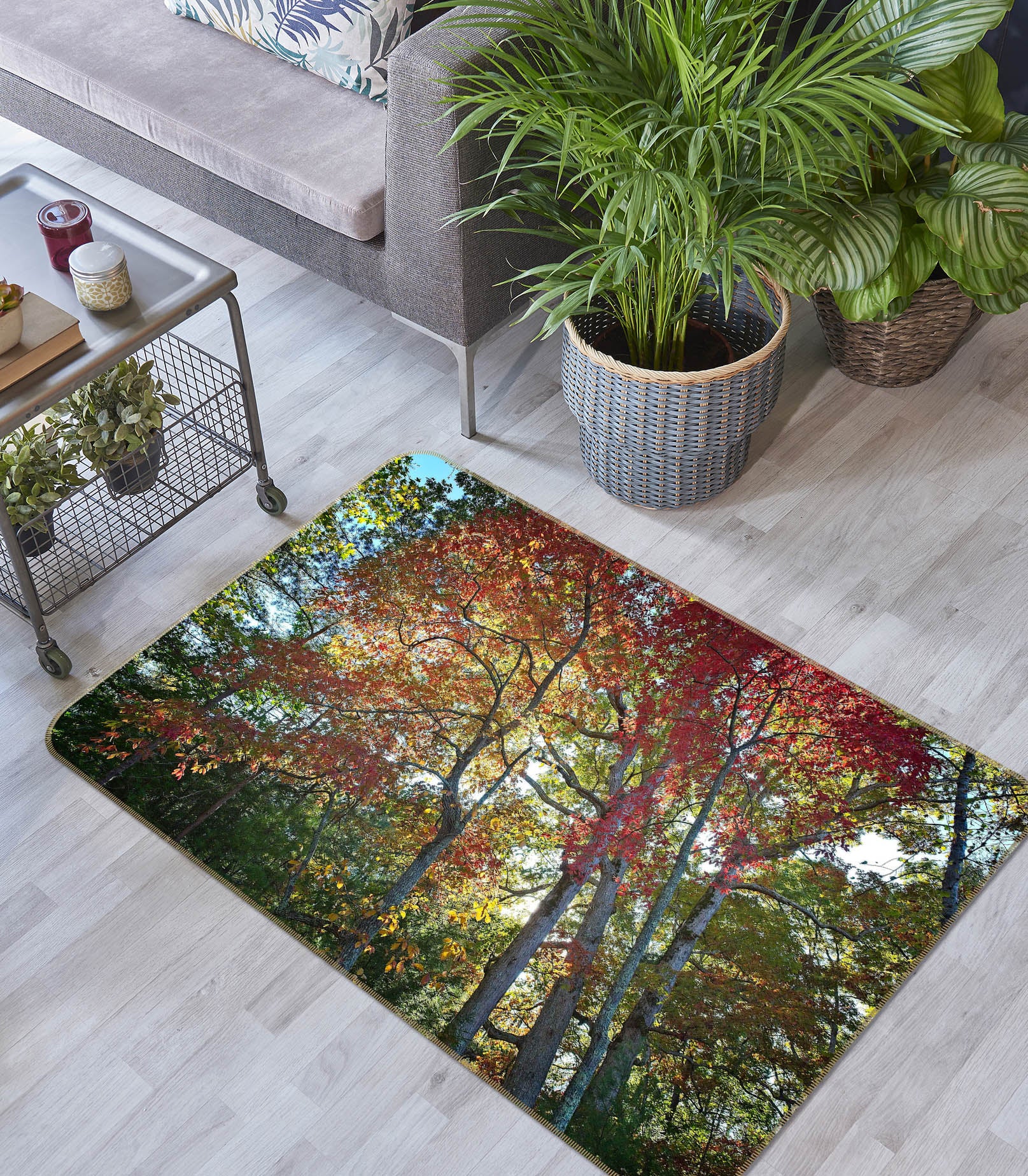 3D Forest Sunlight 1119 Kathy Barefield Rug Non Slip Rug Mat