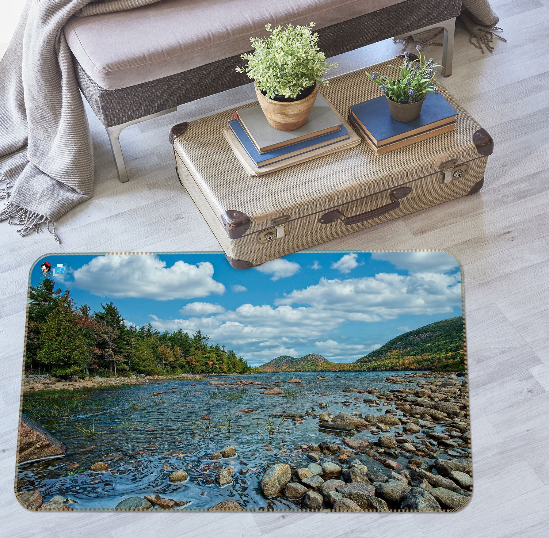 3D Small Stone Small River 62215 Kathy Barefield Rug Non Slip Rug Mat