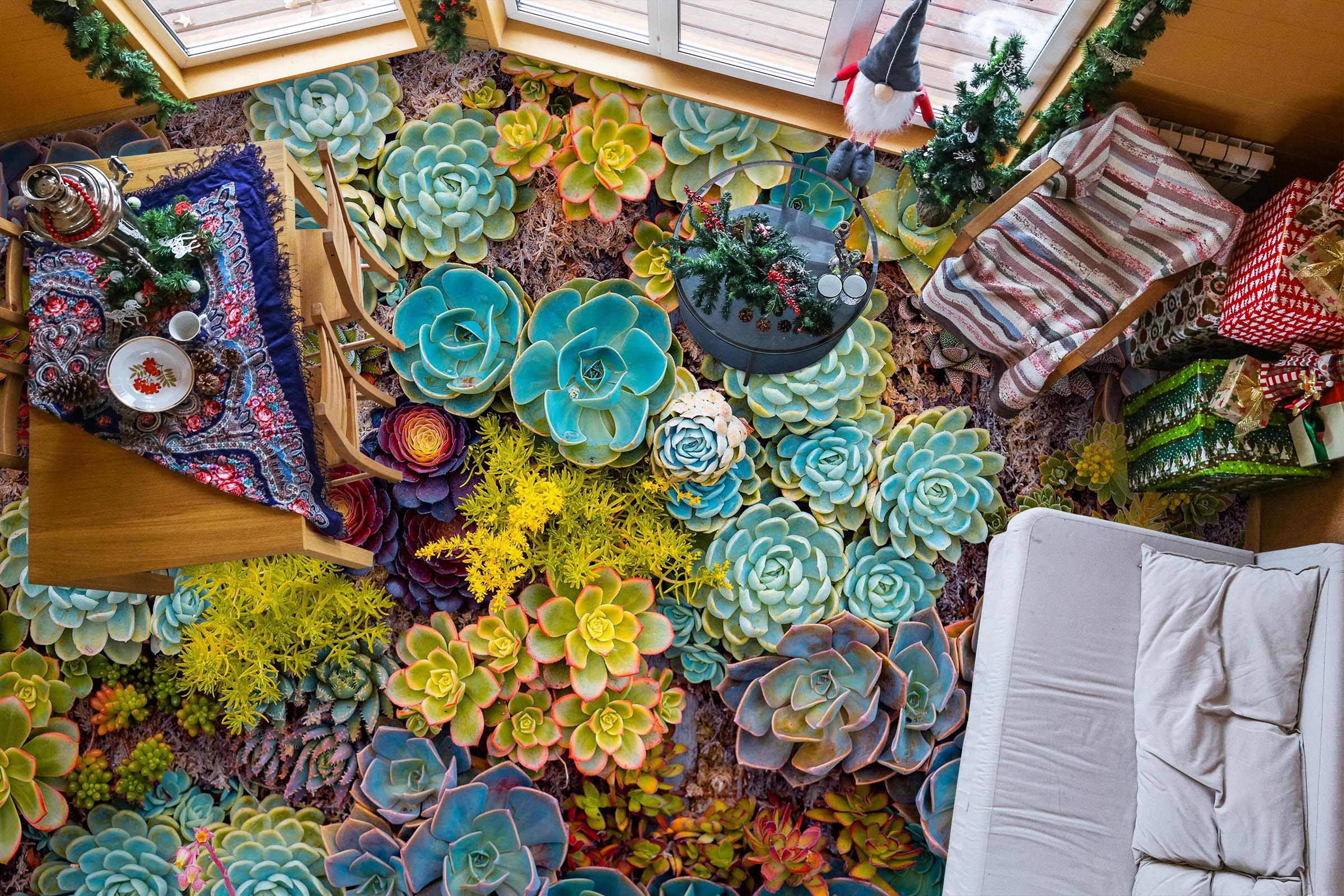 3D Succulent Plants 072 Floor Mural  Wallpaper Murals Rug & Mat Print Epoxy waterproof bath floor