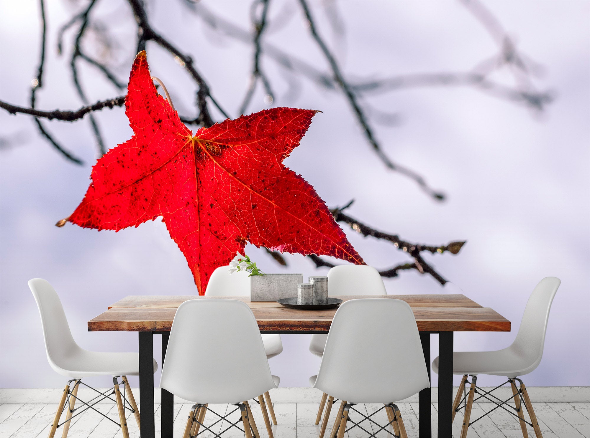 3D Red Leaf 1422 Marco Carmassi Wall Mural Wall Murals