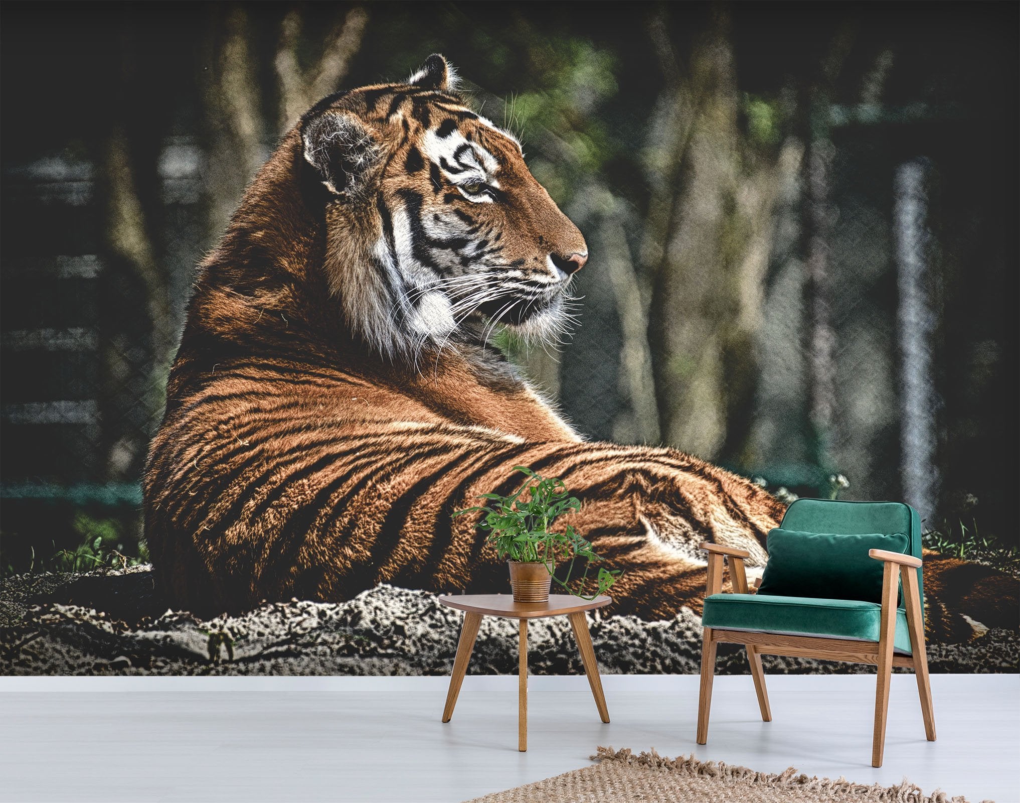 3D Tiger Turned 245 Wallpaper AJ Wallpaper 