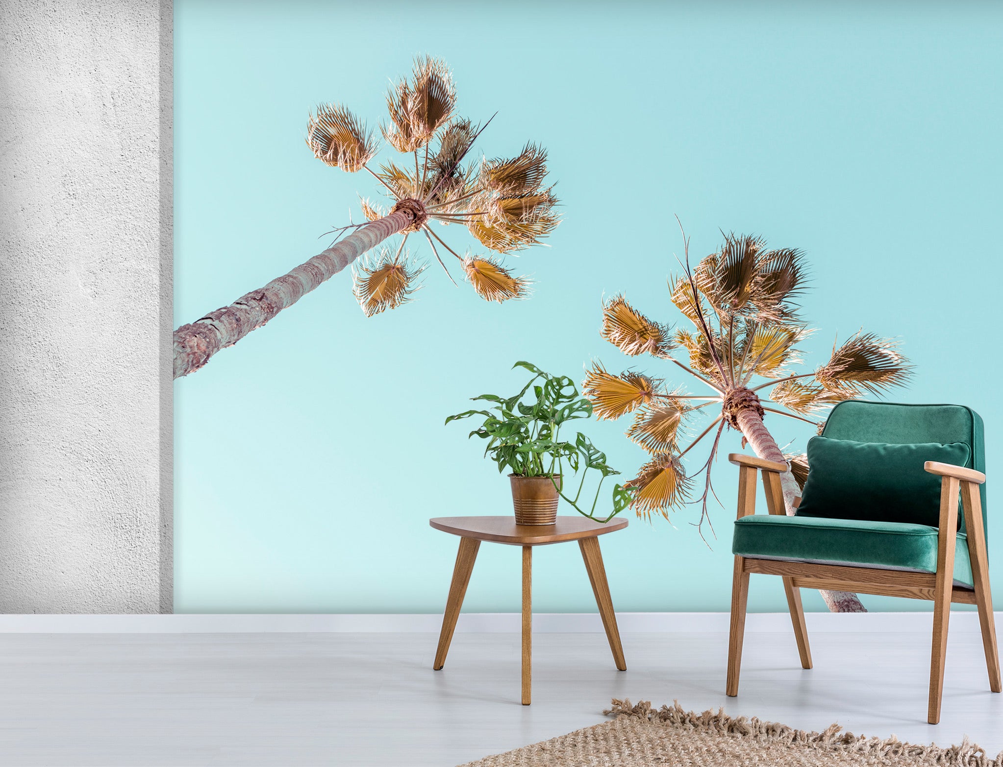 3D Sky Coconut Tree 6250 Assaf Frank Wall Mural Wall Murals