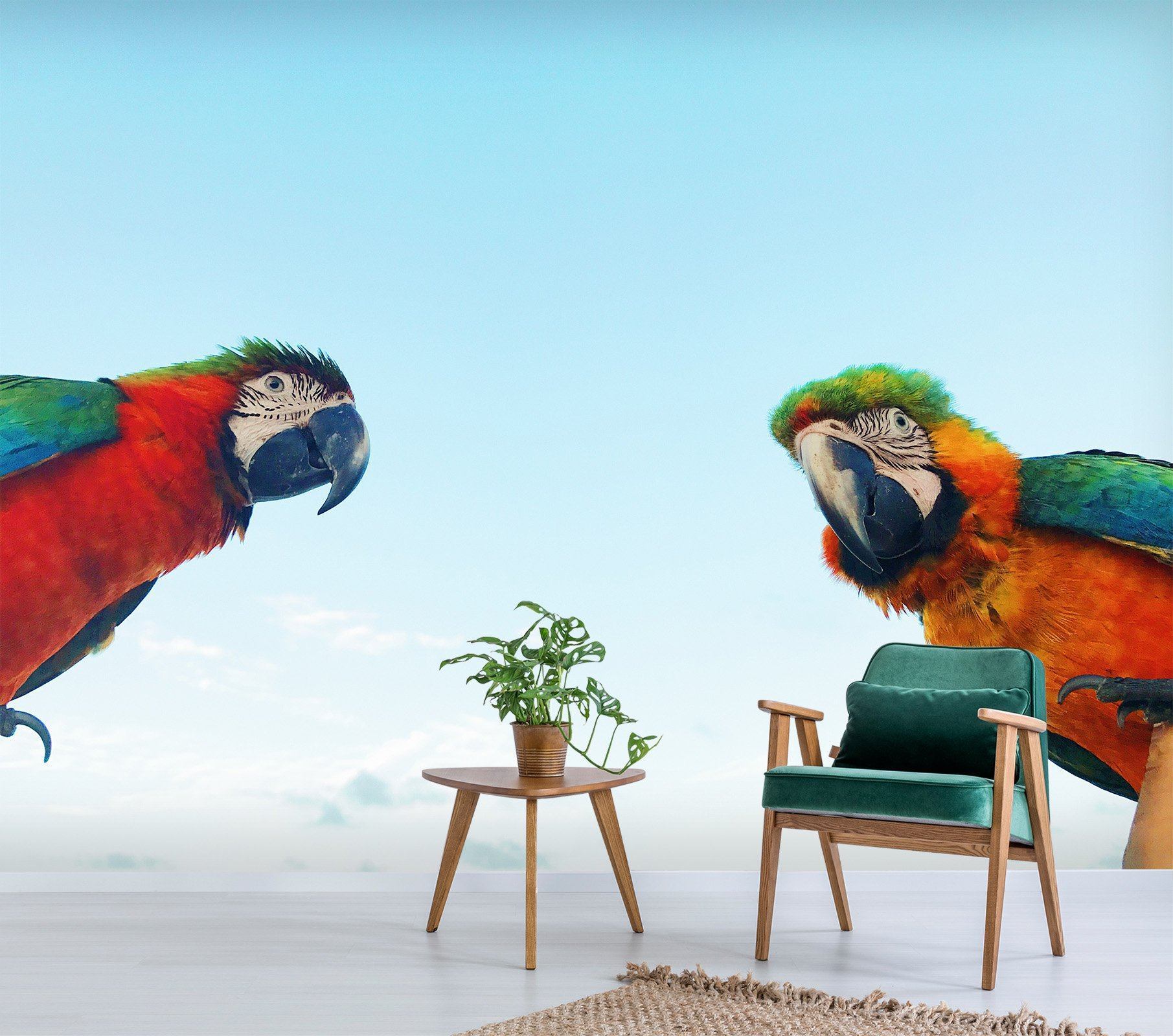 3D Blue Sky White Parrot 567 Wallpaper AJ Wallpaper 