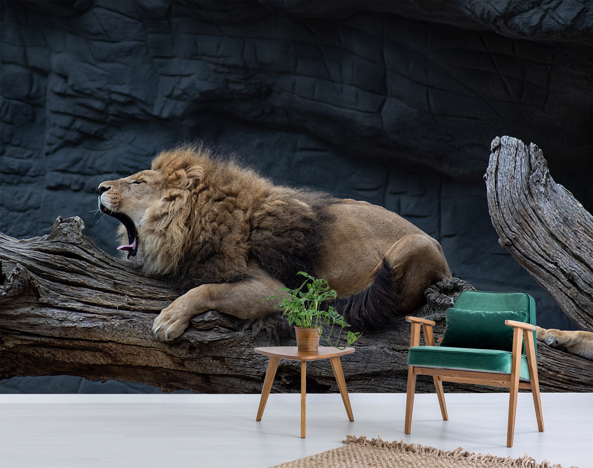 3D Dozing Lion 213 Wallpaper AJ Wallpaper 