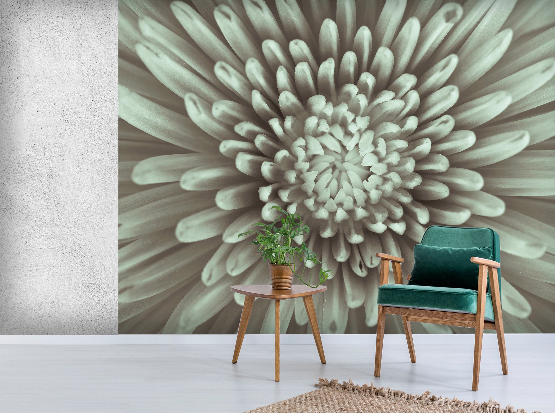 3D White Daisy 1401 Assaf Frank Wall Mural Wall Murals