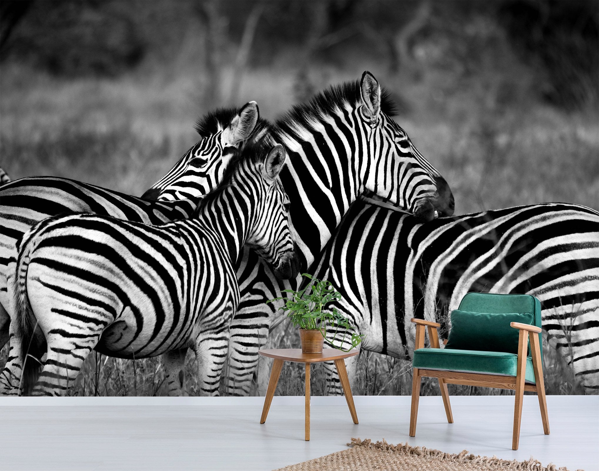 3D Zebra Back 250 Wallpaper AJ Wallpaper 
