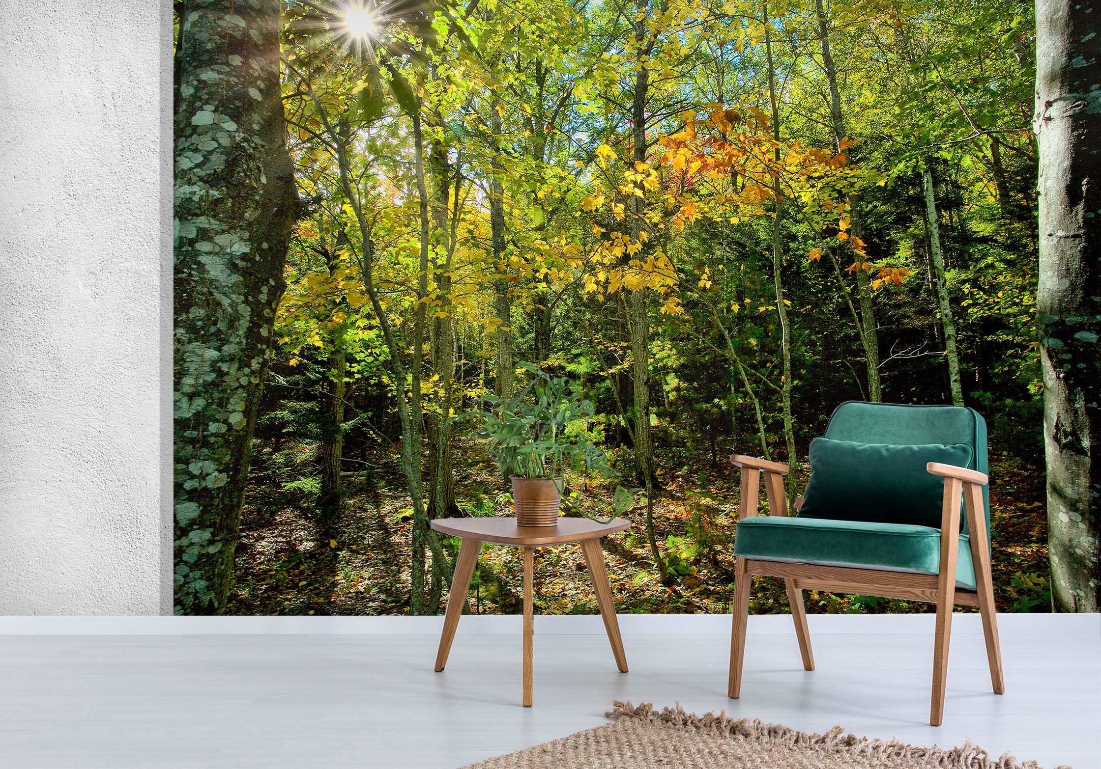 3D Fall In The Forest 62074 Kathy Barefield Wall Mural Wall Murals