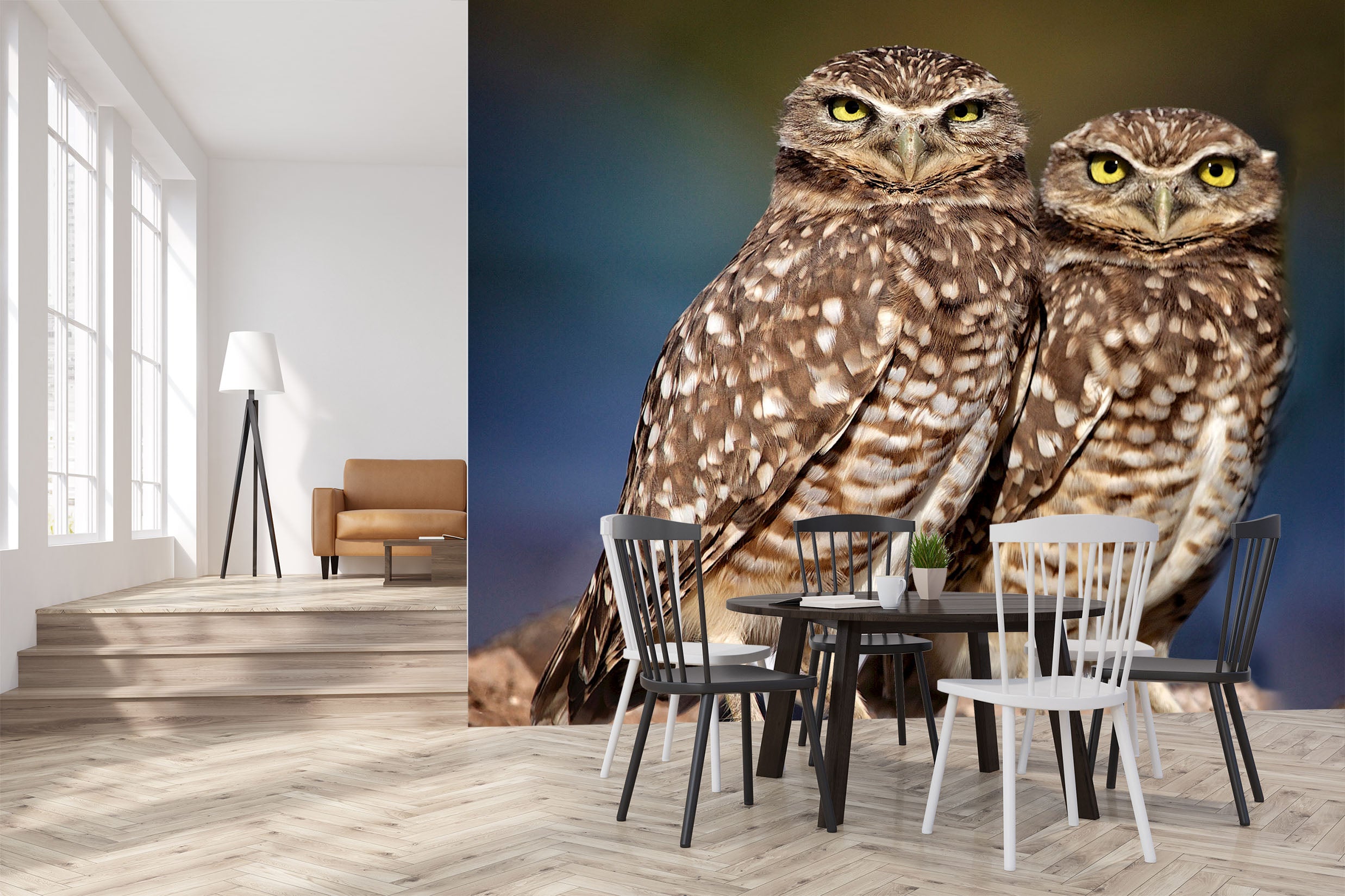 3D Burrowing Owl Buddies 105 Kathy Barefield Wall Mural Wall Murals