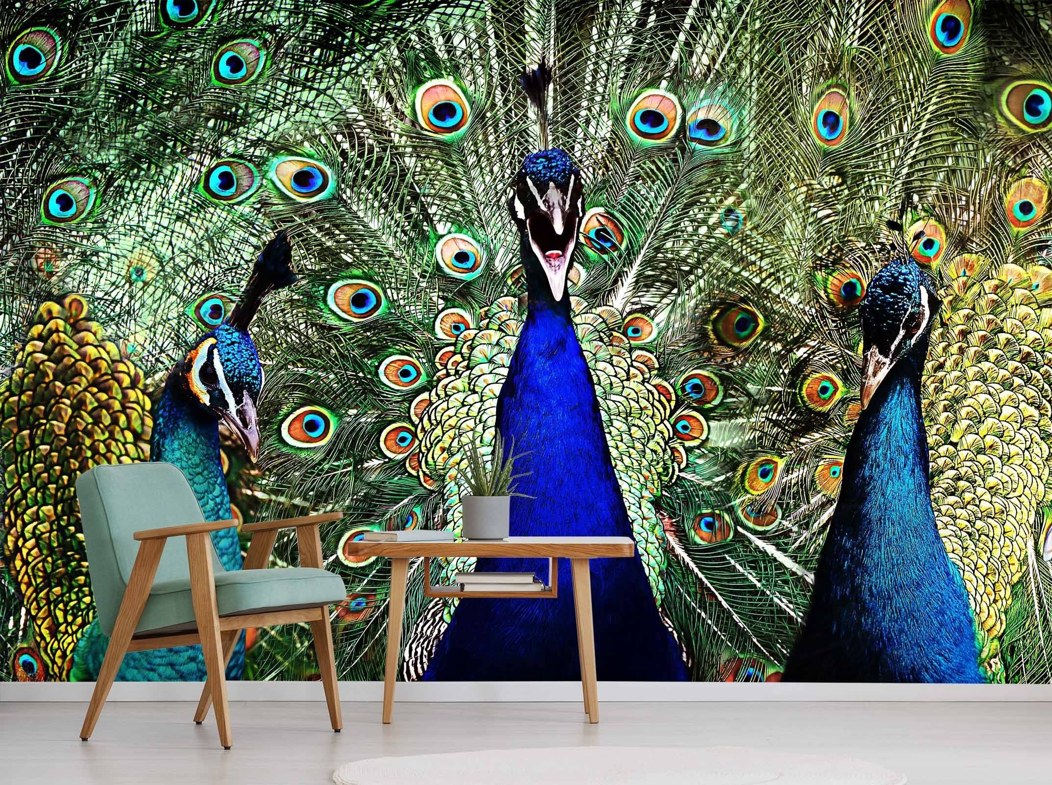 3D Peacock Opening 218 Wallpaper AJ Wallpaper 
