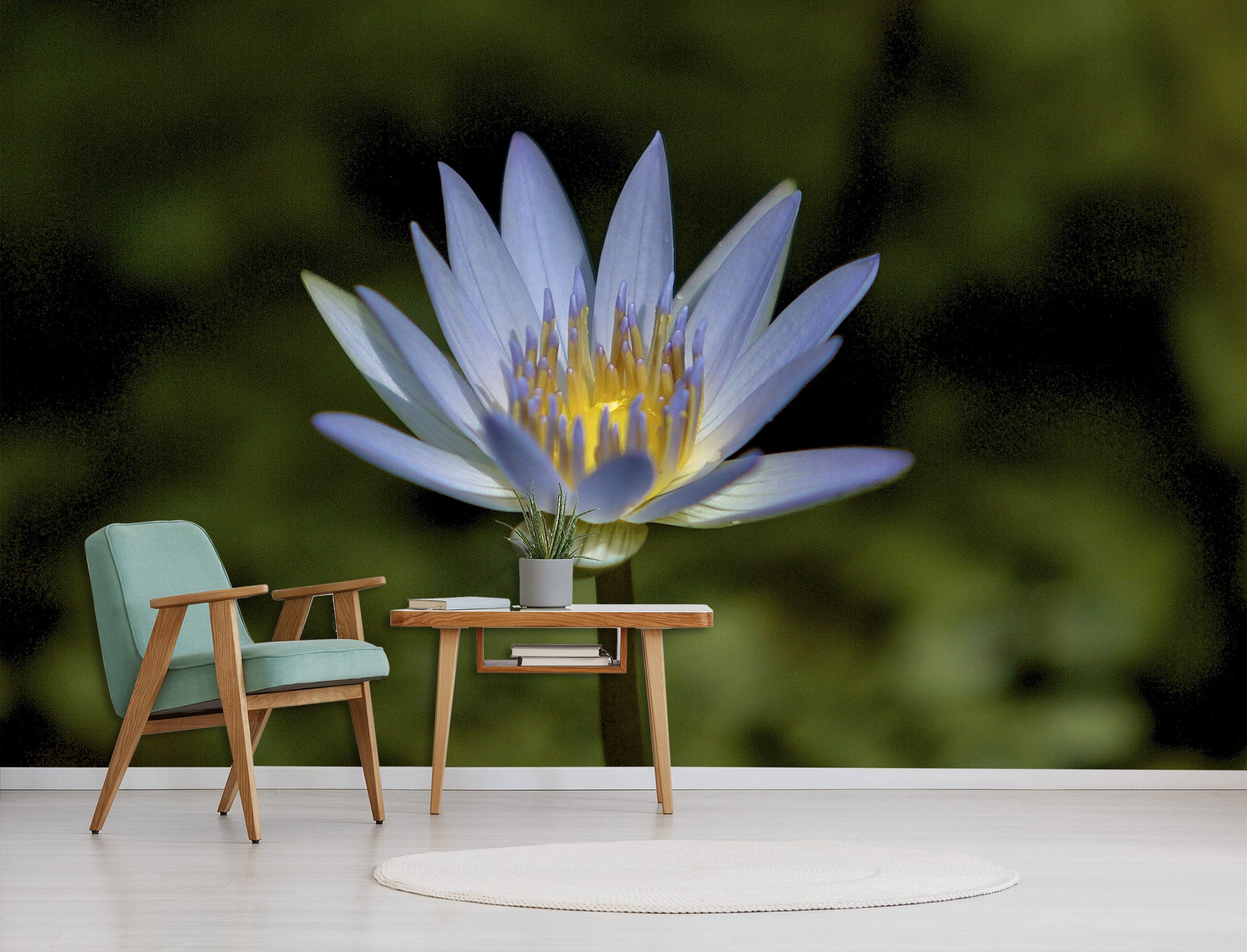 3D Lavendar Water Lily 115 Kathy Barefield Wall Mural Wall Murals