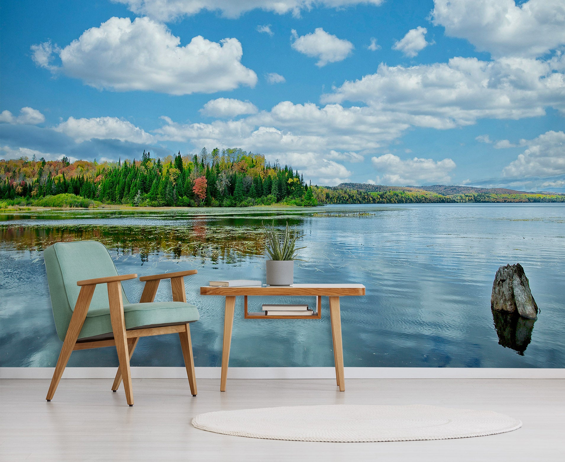 3D Lake 62085 Kathy Barefield Wall Mural Wall Murals