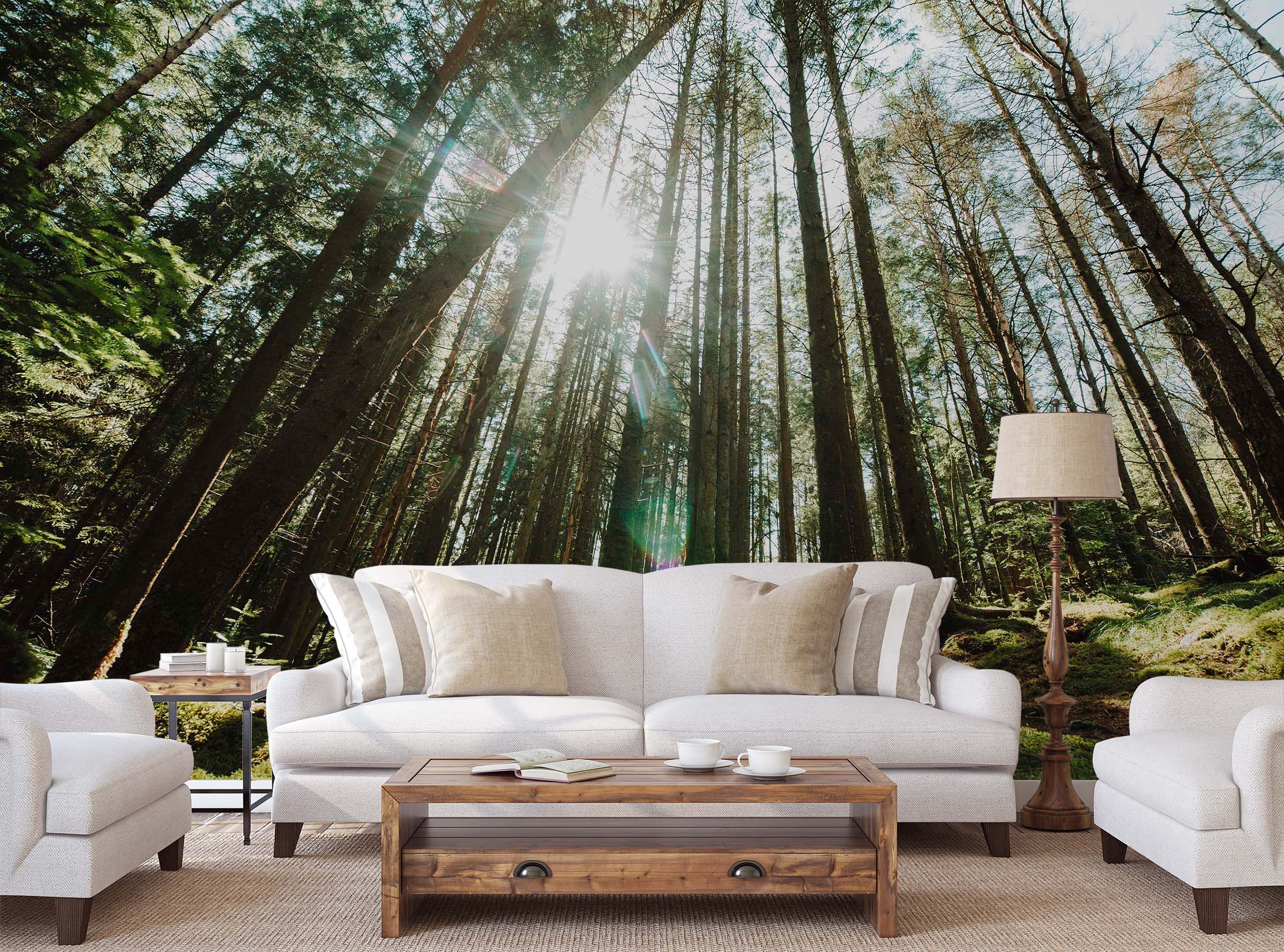 3D Forest Trees 85 Wall Murals