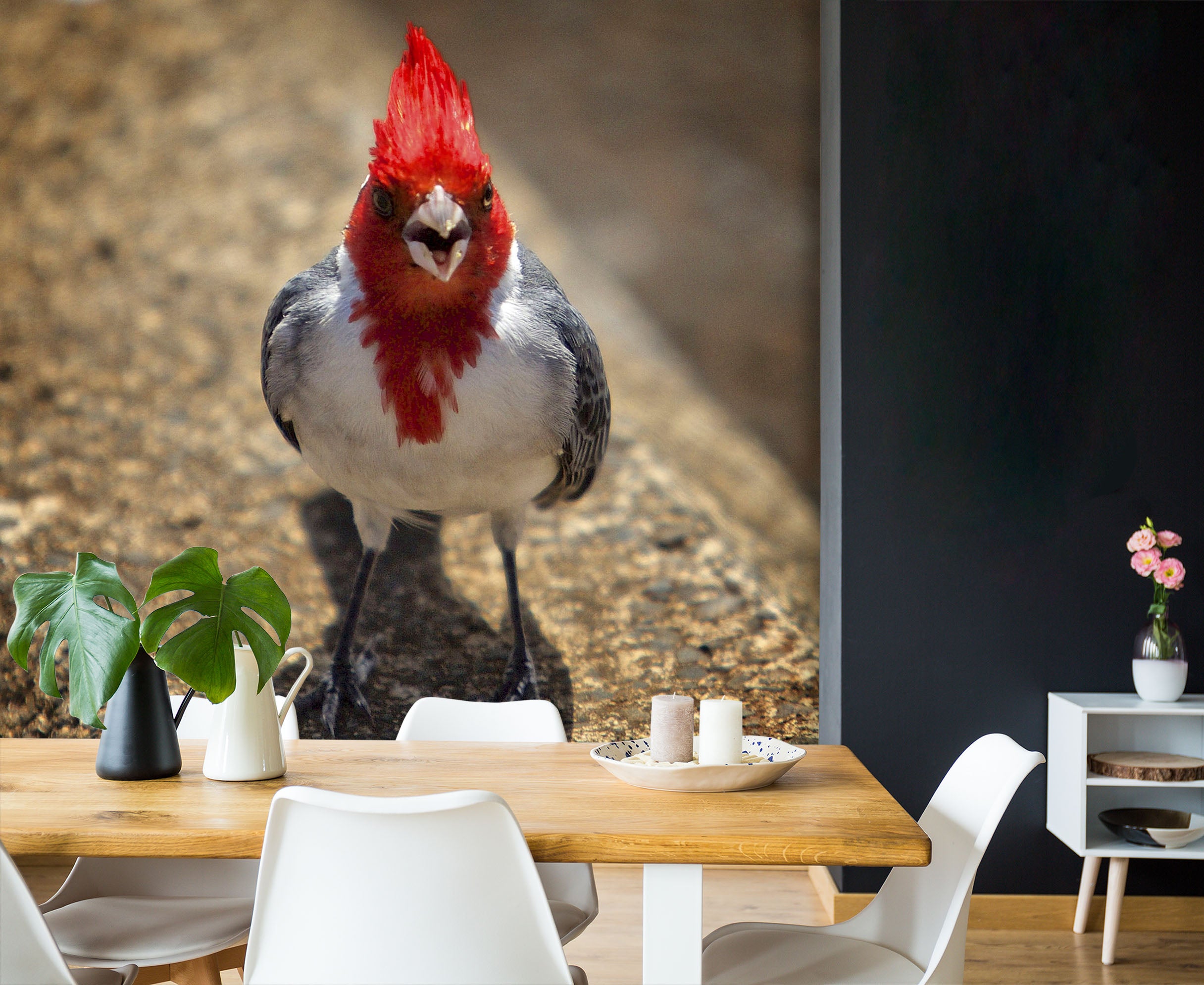 3D Red Bird 1403 Kathy Barefield Wall Mural Wall Murals