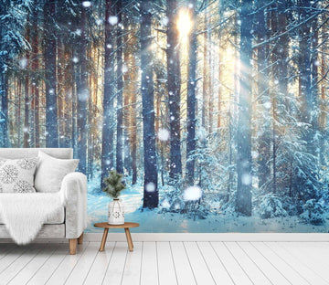 3D Sunshine Forest Snow 707 Wallpaper AJ Wallpaper 