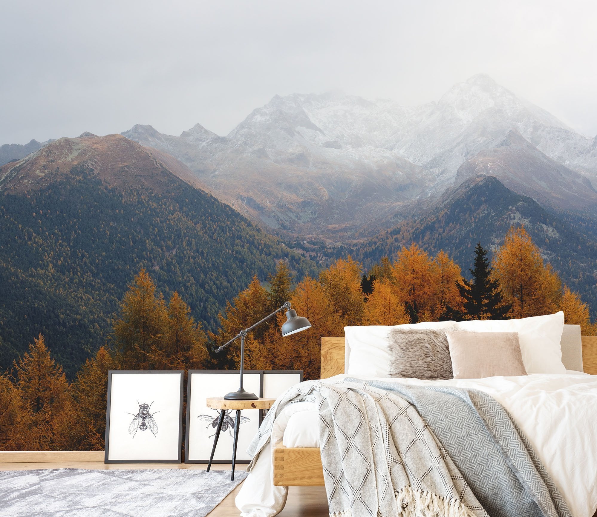 3D Maple Forest Mountain 645 Wallpaper AJ Wallpaper 