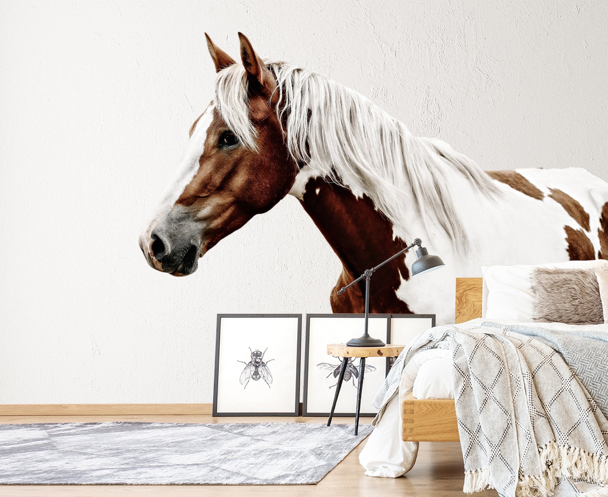 3D Handsome Horse 130 Animals Wall Stickers Wallpaper AJ Wallpaper 