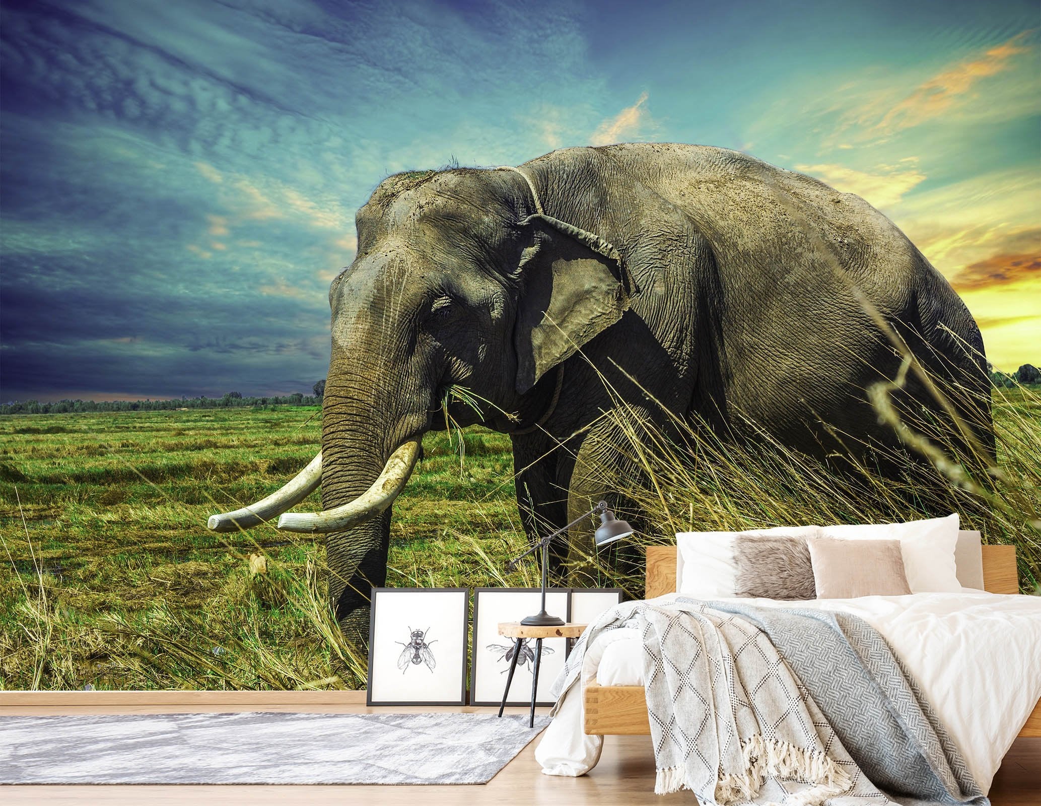 3D Grassland Elephant Trunk 137 Wallpaper AJ Wallpaper 