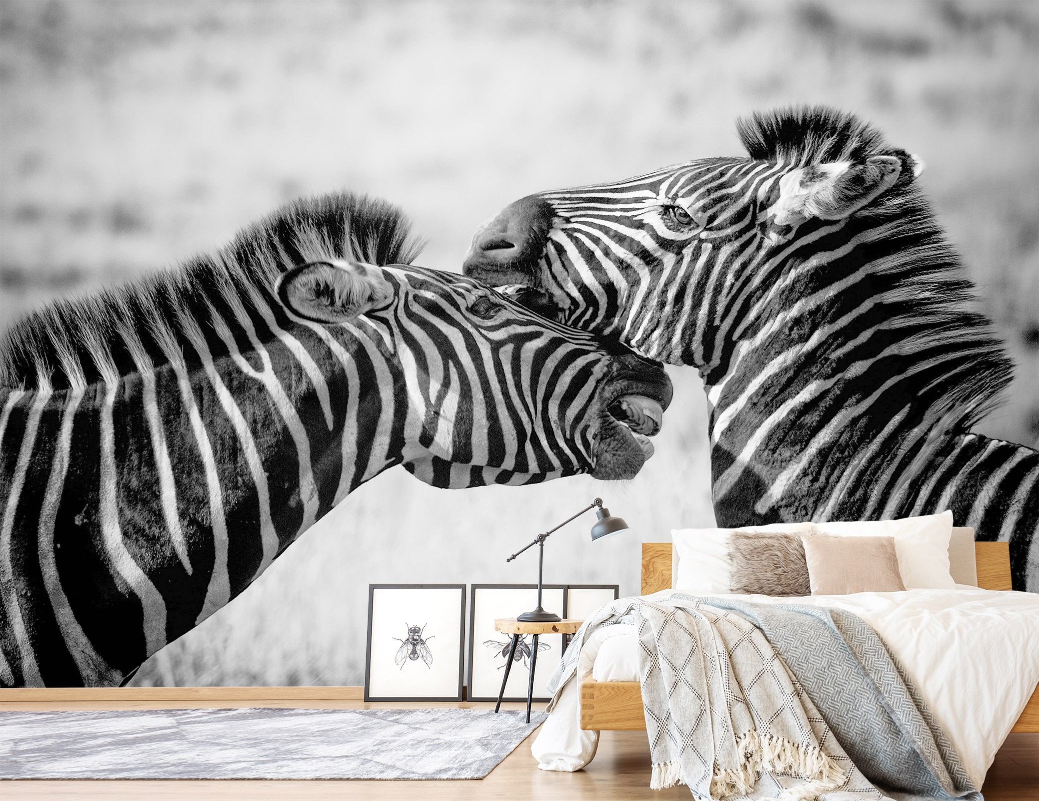 3D Playful Zebra 251 Wallpaper AJ Wallpaper 