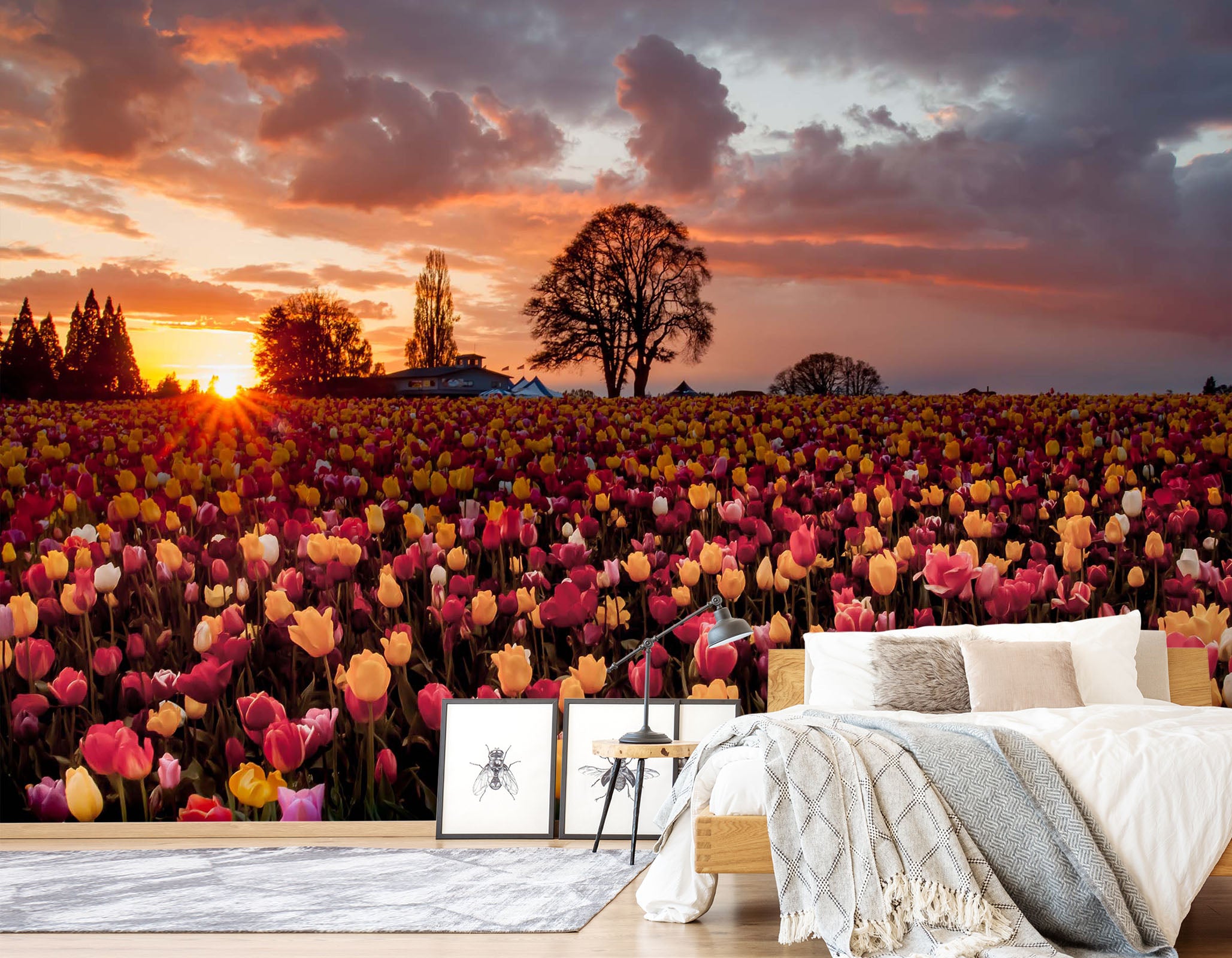 3D Flower Field Tulip 053 Wall Murals