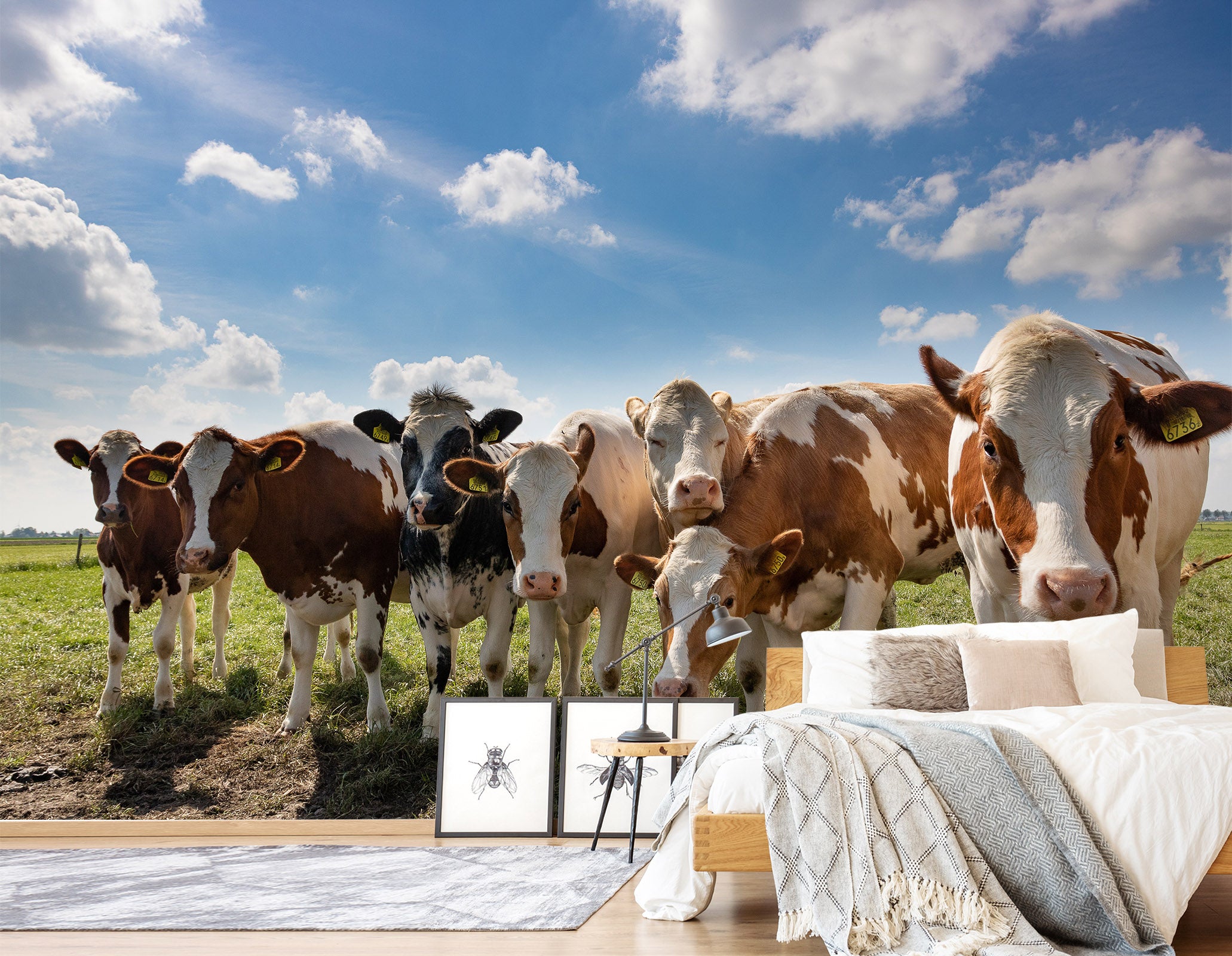 3D Cattle Herd 419 Wall Murals