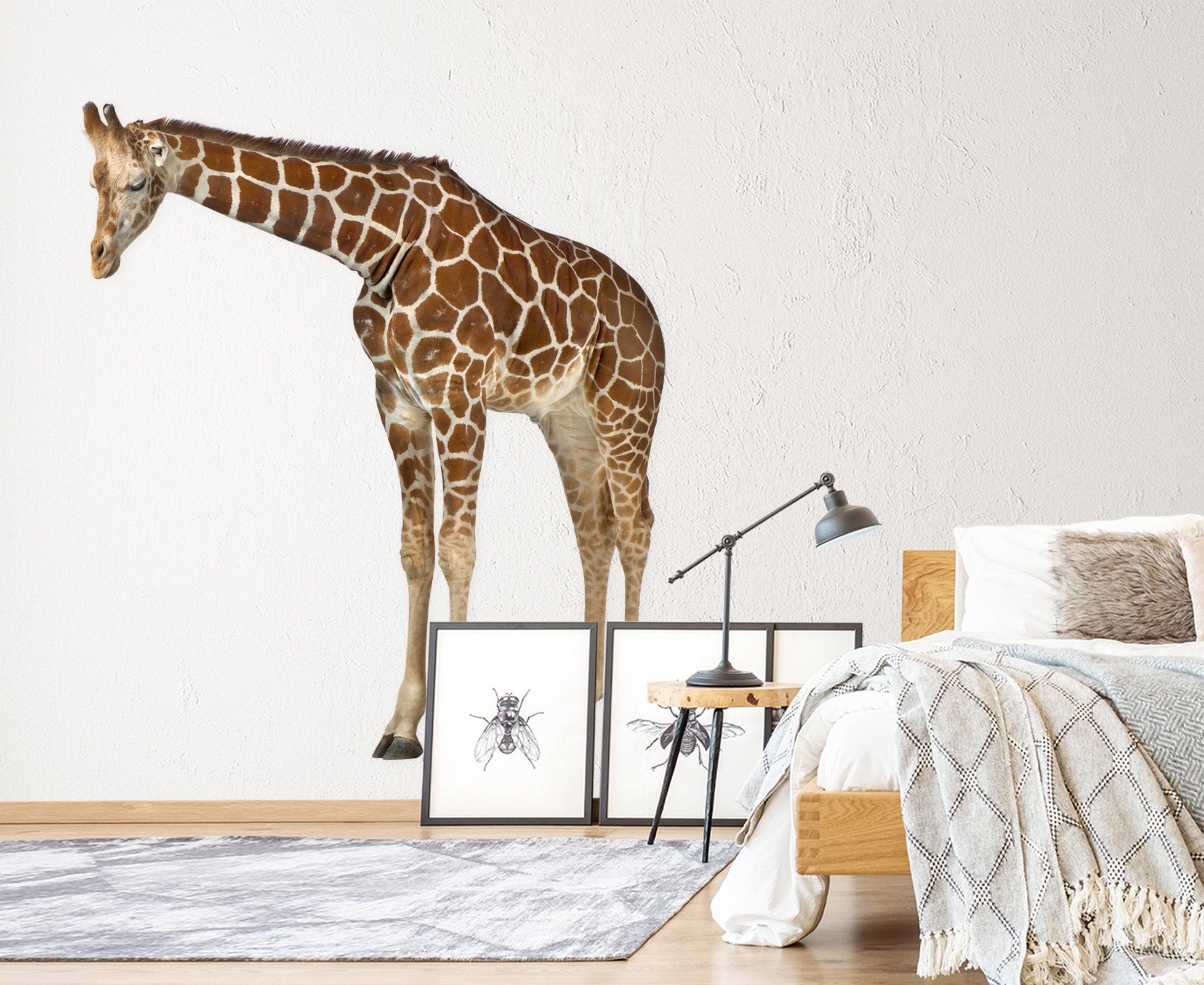 3D Duck Giraffe 089 Animals Wall Stickers Wallpaper AJ Wallpaper 