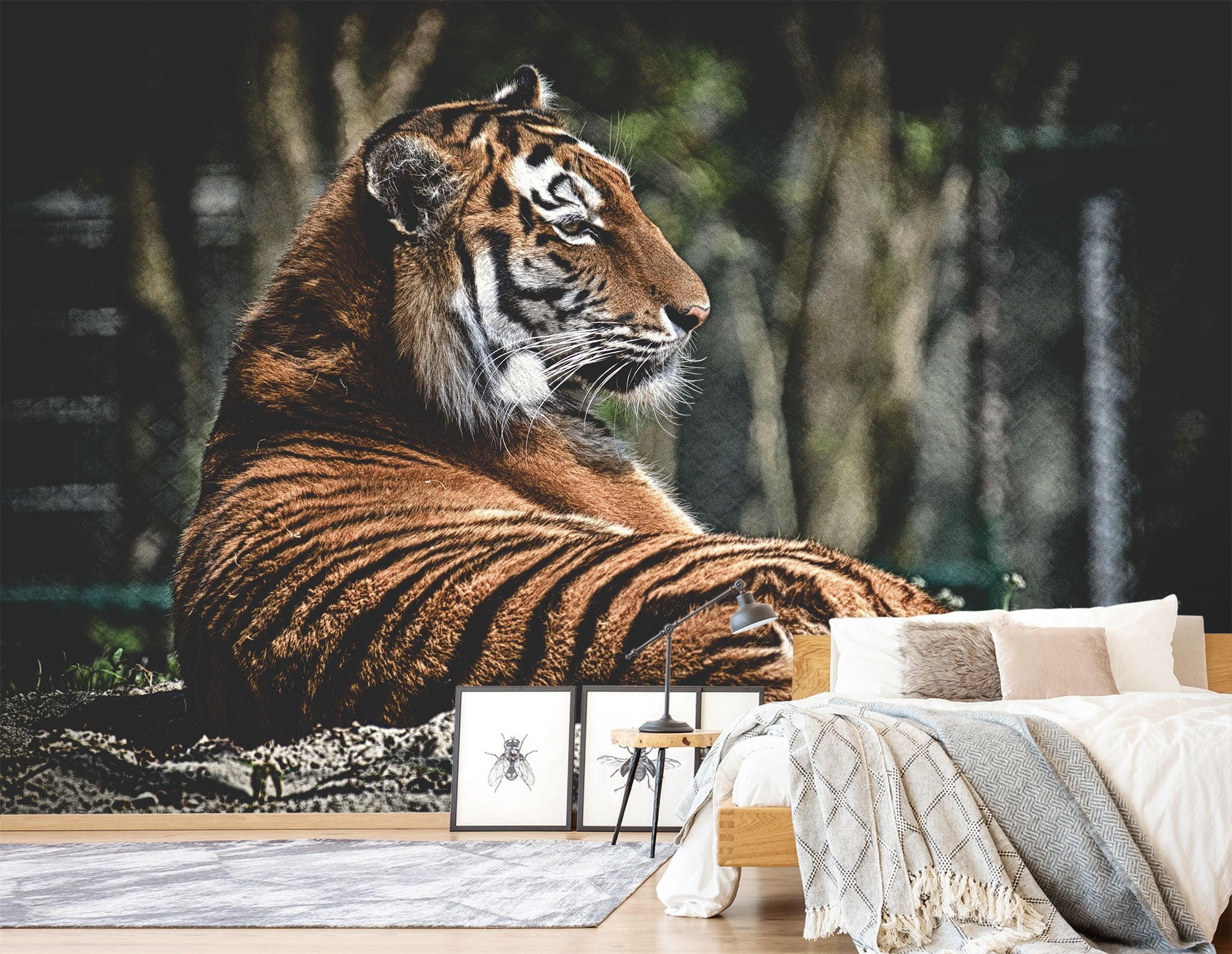 3D Tiger Turned 245 Wallpaper AJ Wallpaper 