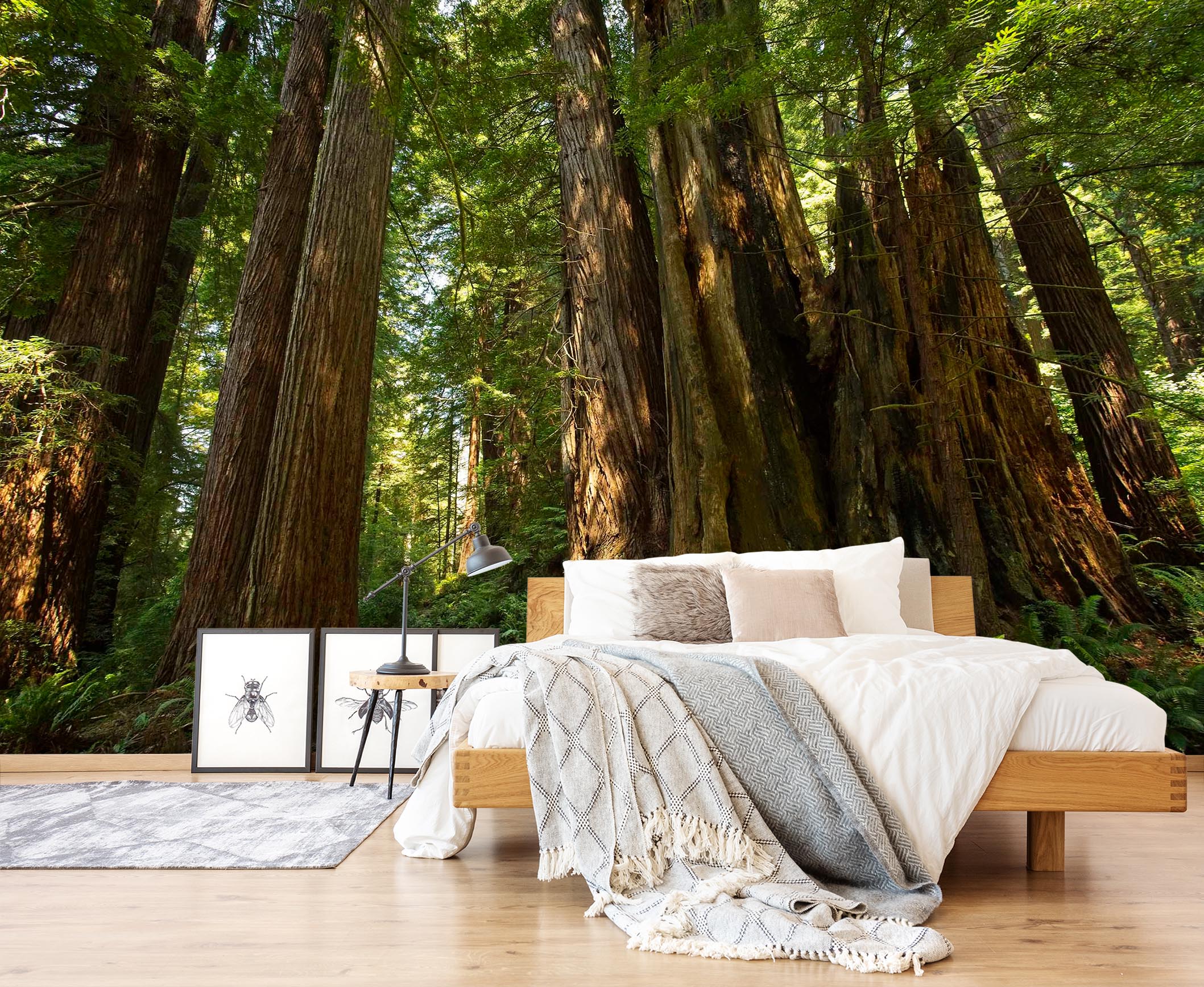 3D Moriyama Old Forest 123 Kathy Barefield Wall Mural Wall Murals