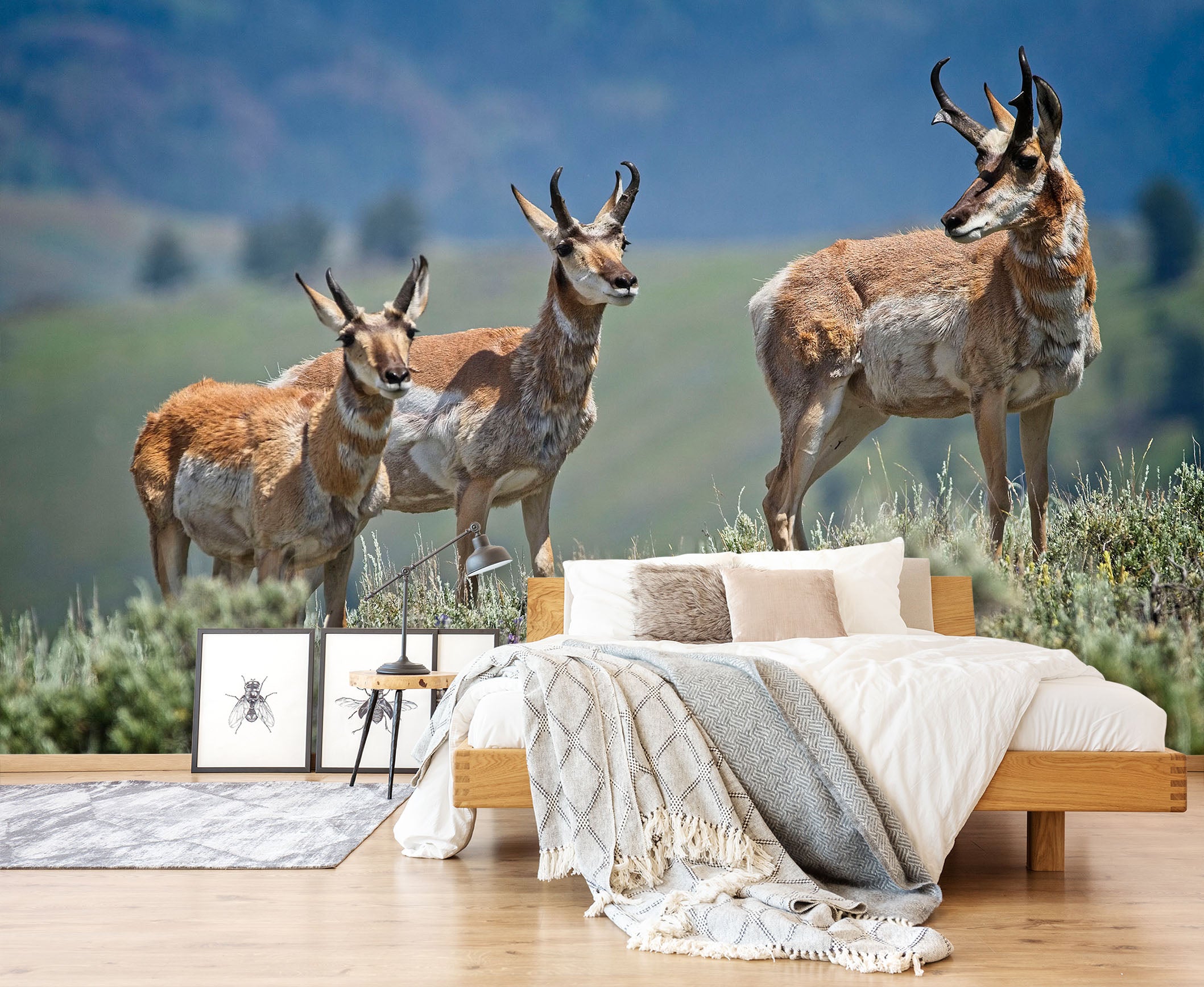 3D Pronghorn Antelope 101 Kathy Barefield Wall Mural Wall Murals