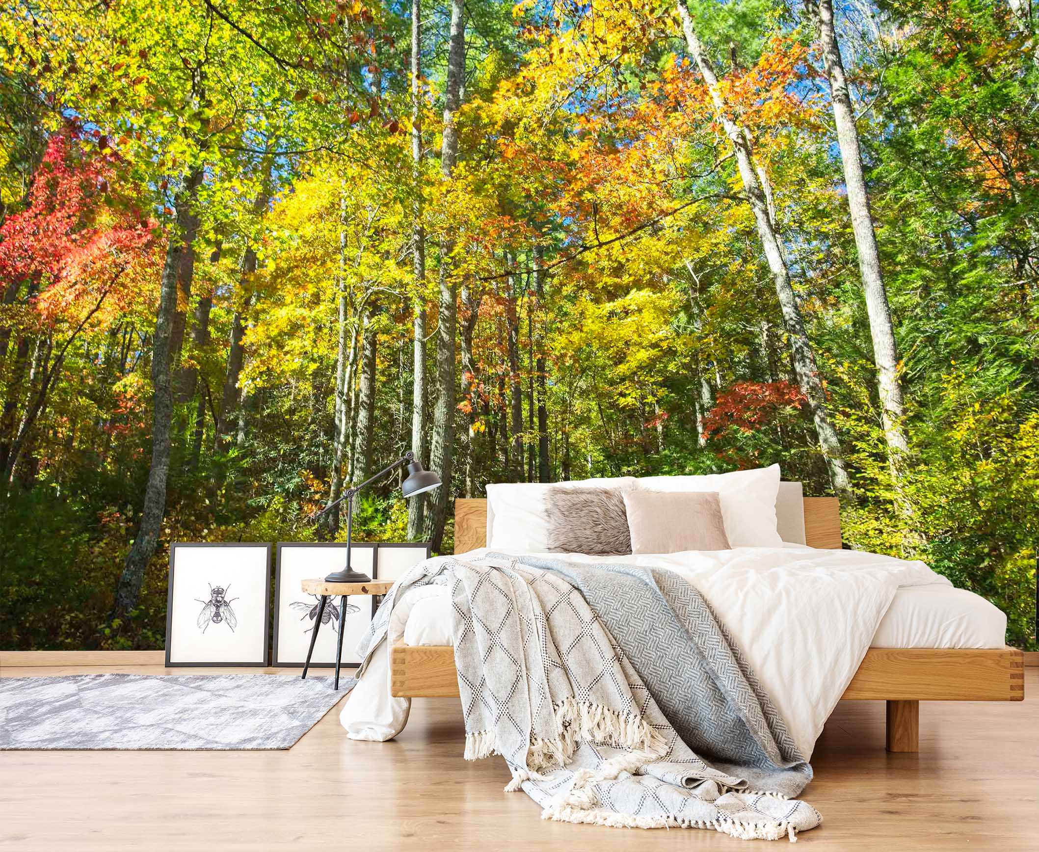 3D Sunny Woods 116 Kathy Barefield Wall Mural Wall Murals