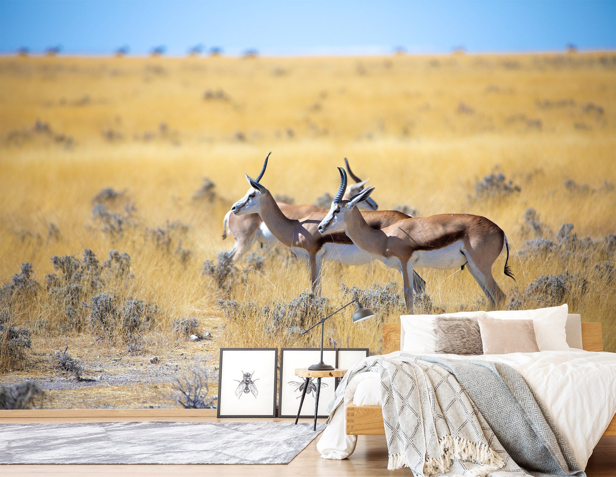 3D Antelope Looks Into tThe Distance 232 Wallpaper AJ Wallpaper 