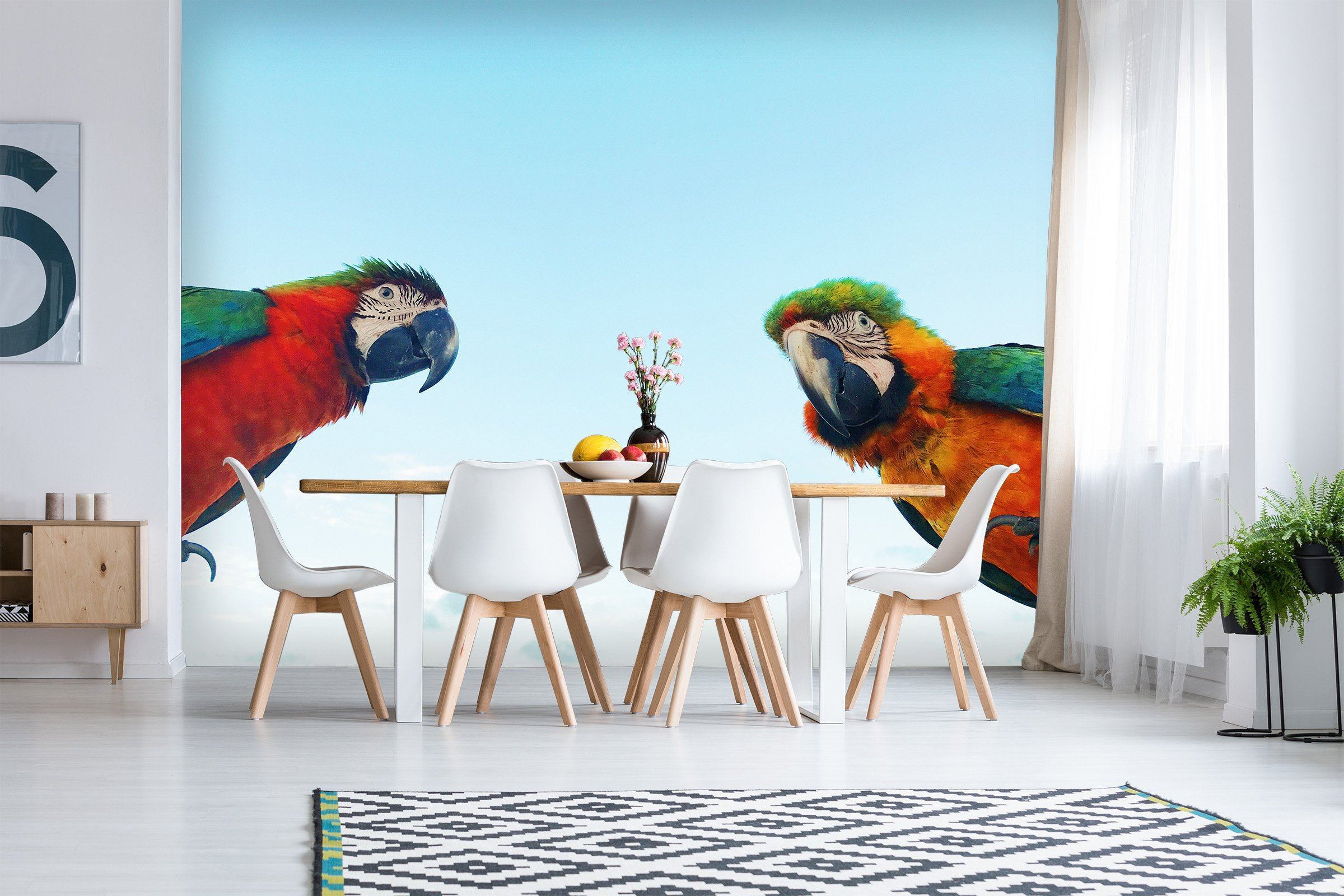 3D Blue Sky White Parrot 567 Wallpaper AJ Wallpaper 