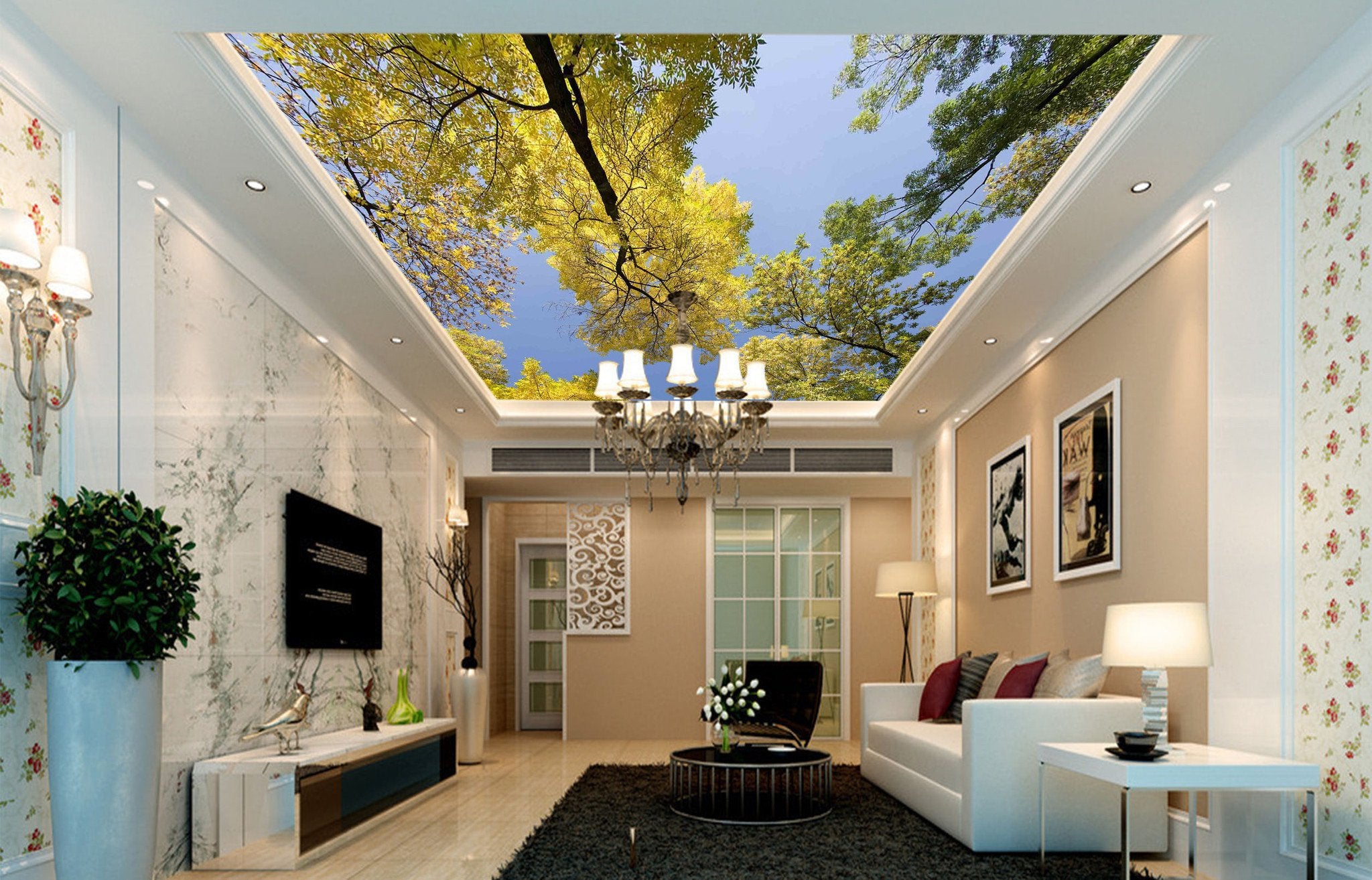 Pretty Tall Trees Wallpaper AJ Wallpaper 